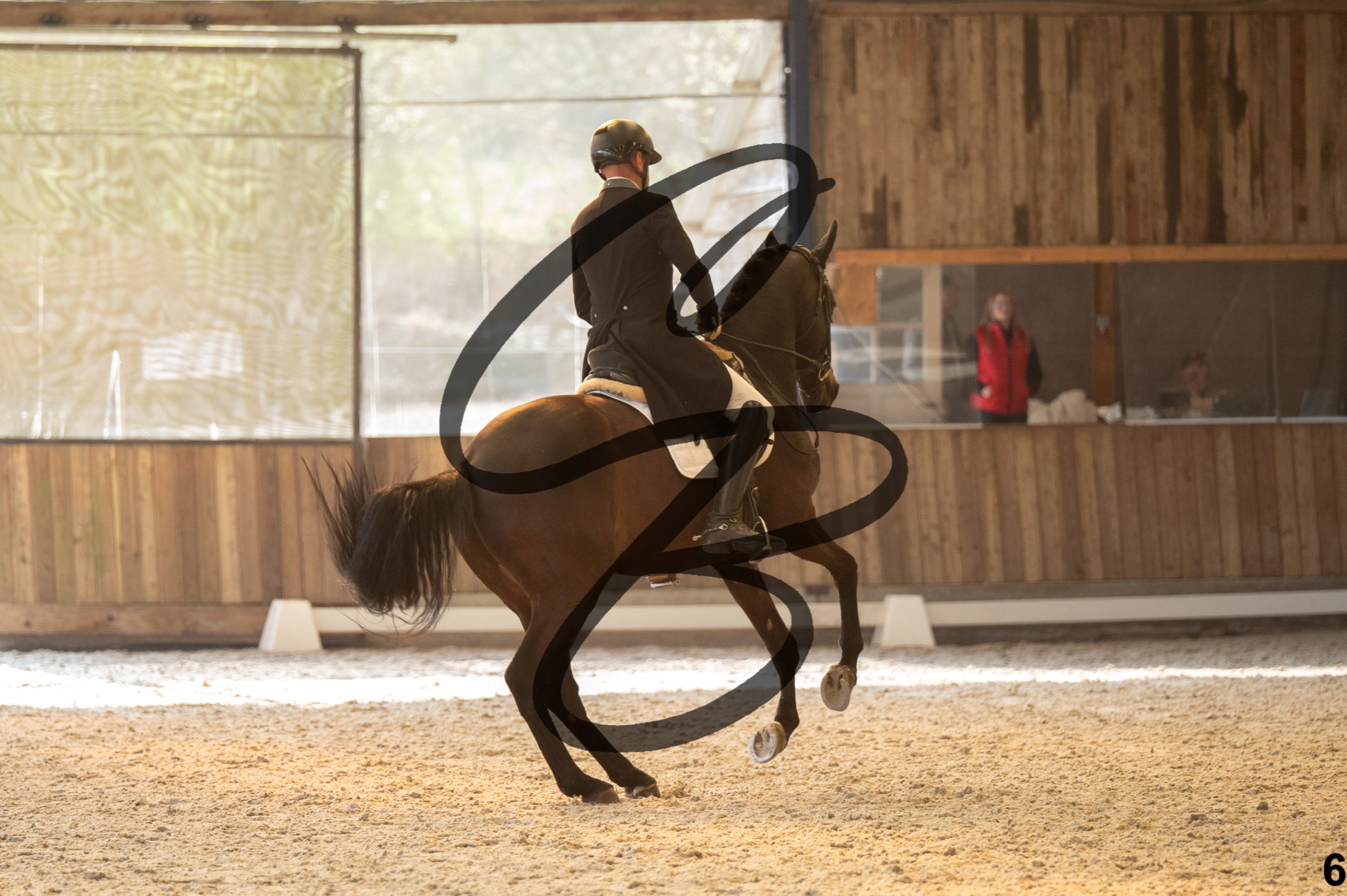 2026.03.22 - 7 ans - jeunes chevaux-23.jpg