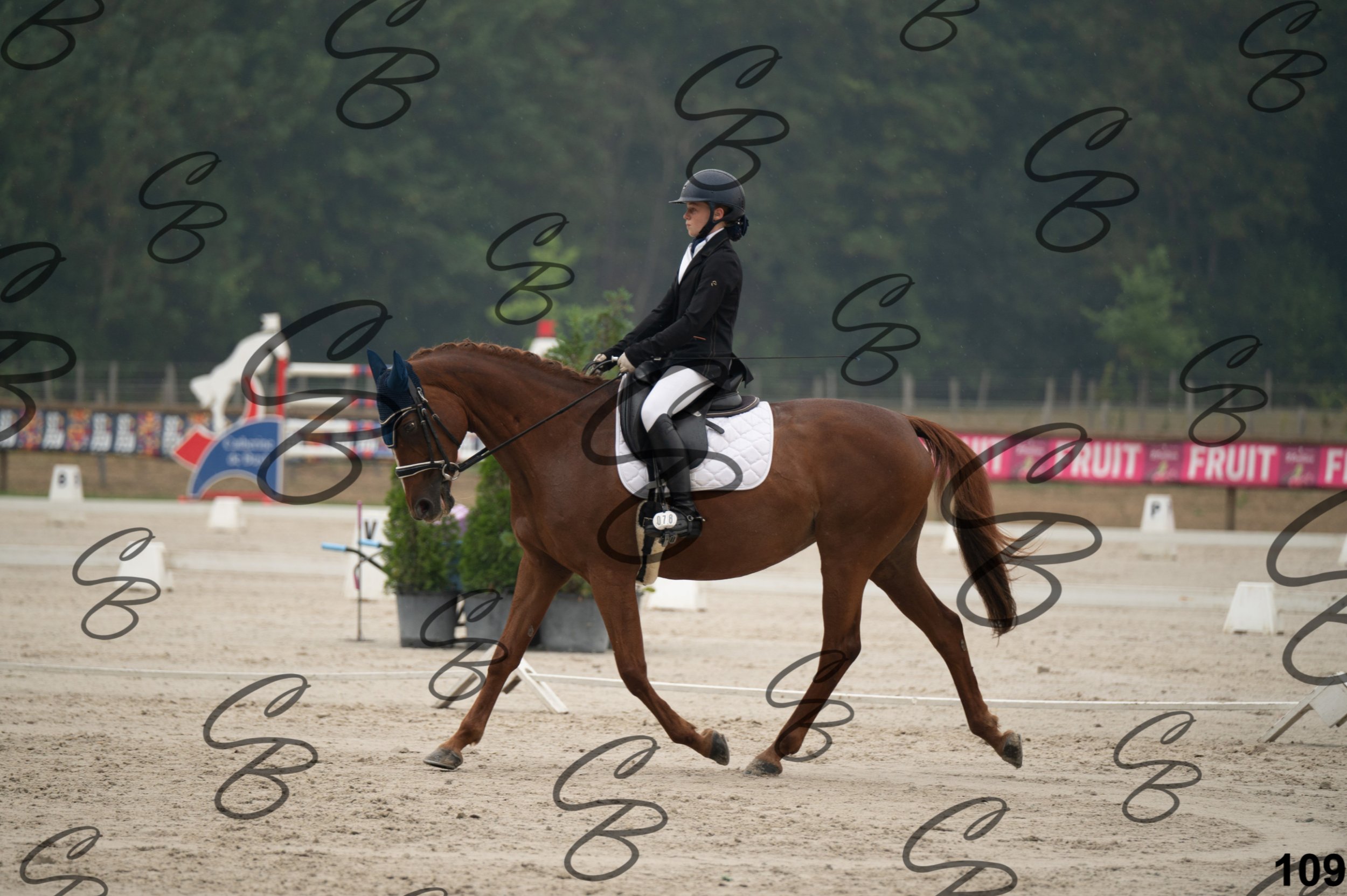 2026.08.15 - Louchier - GHO-153.jpg