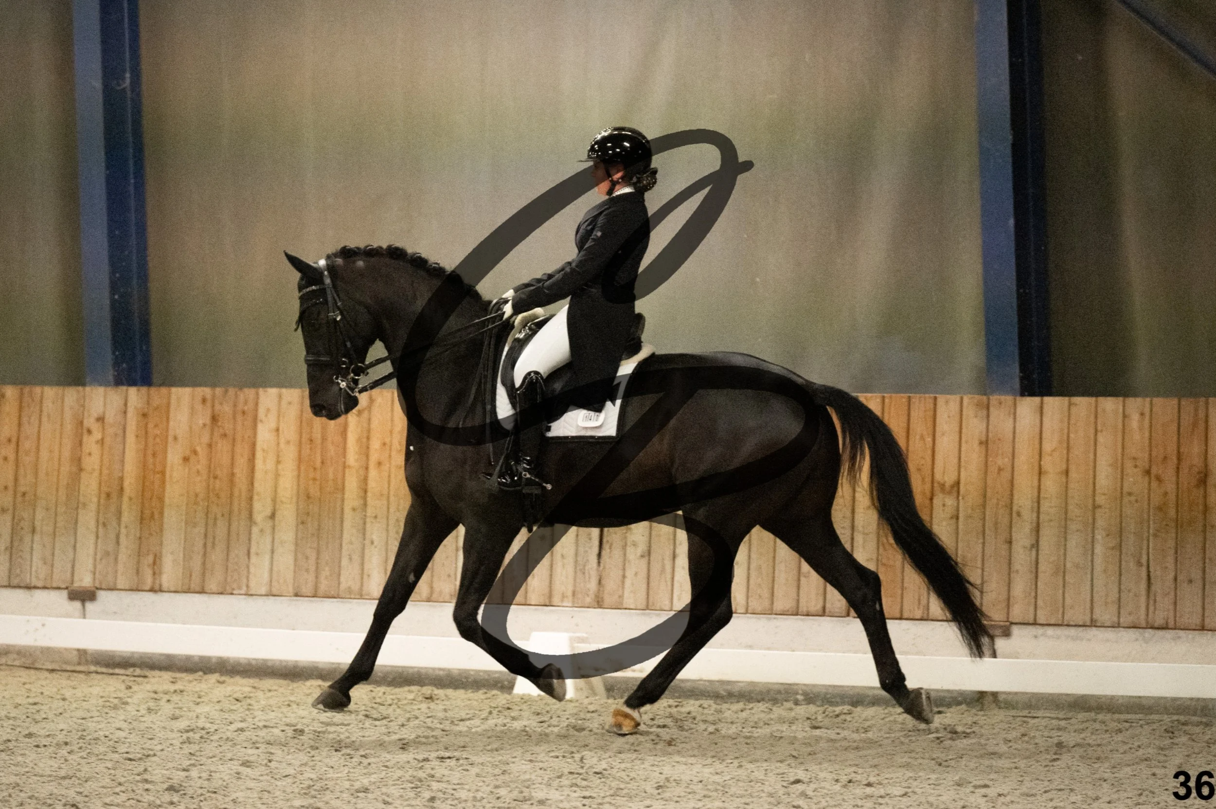 2026.03.22 - niv6 - Inter 1-36.jpg