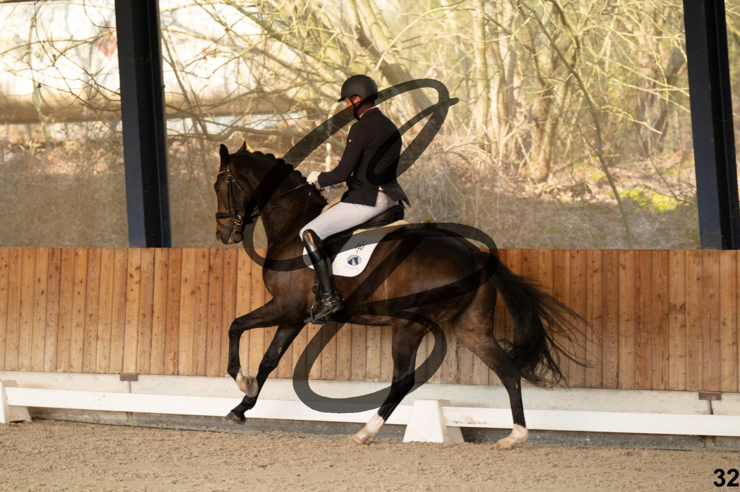 2026.03.22 - jeunes chevaux - 6ans-32.jpg