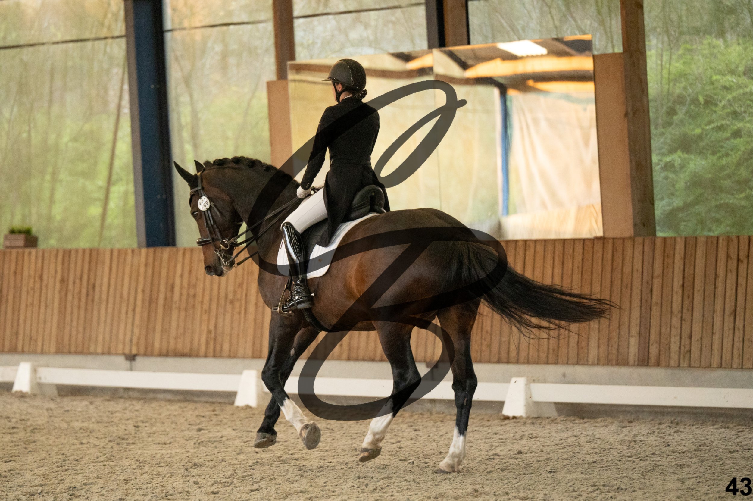 2026.03.22 - niv5 - saint georges-43.jpg