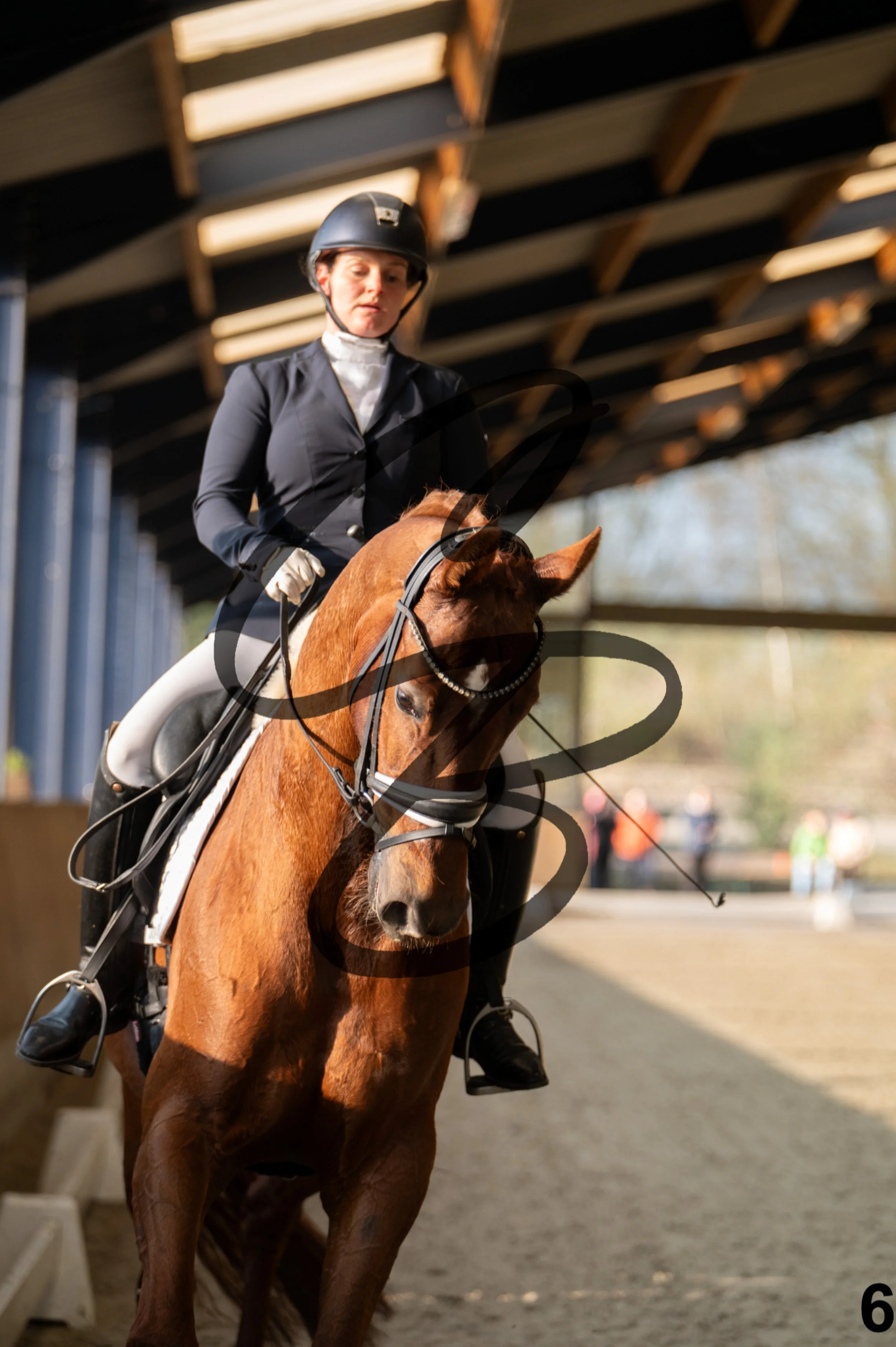 2026.03.22 - jeunes chevaux - 6ans-6.jpg