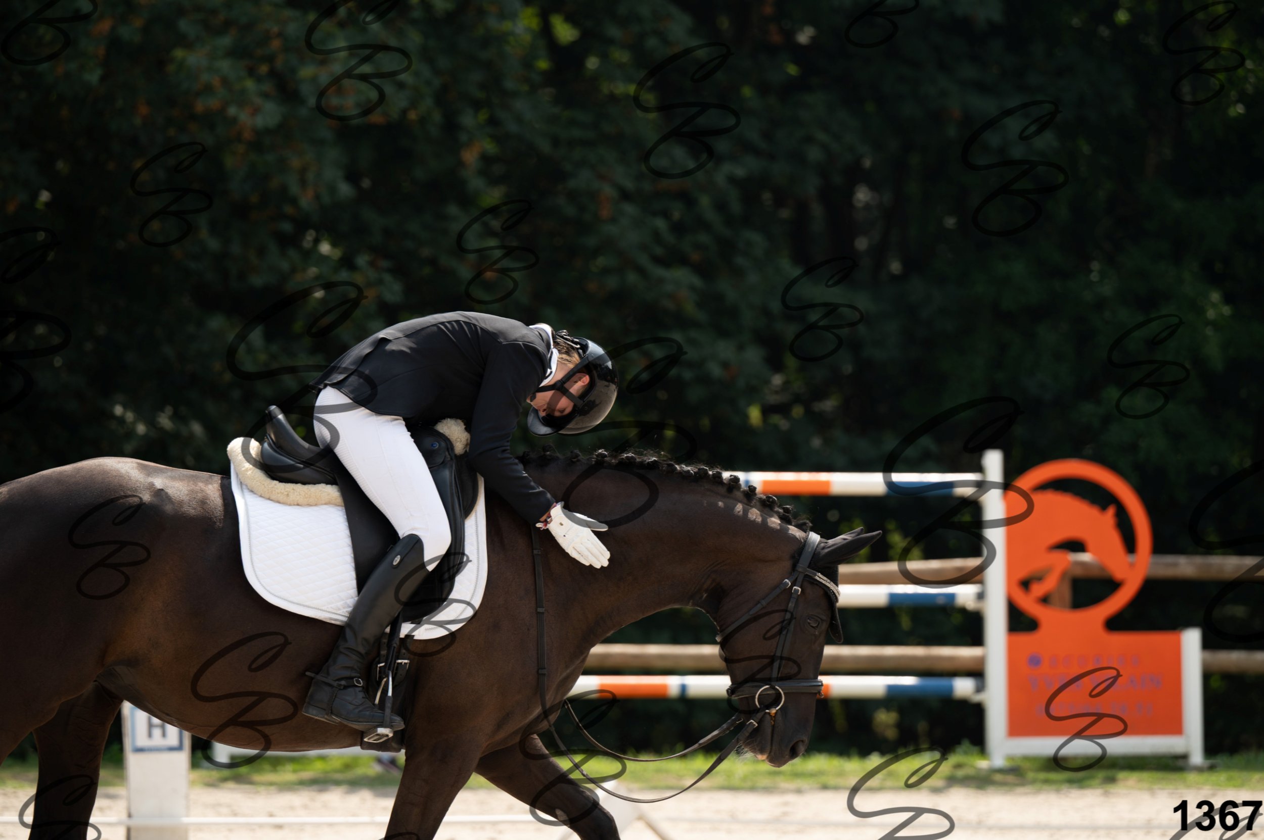 2026.08.15 - Louchier - GHO-1384.jpg