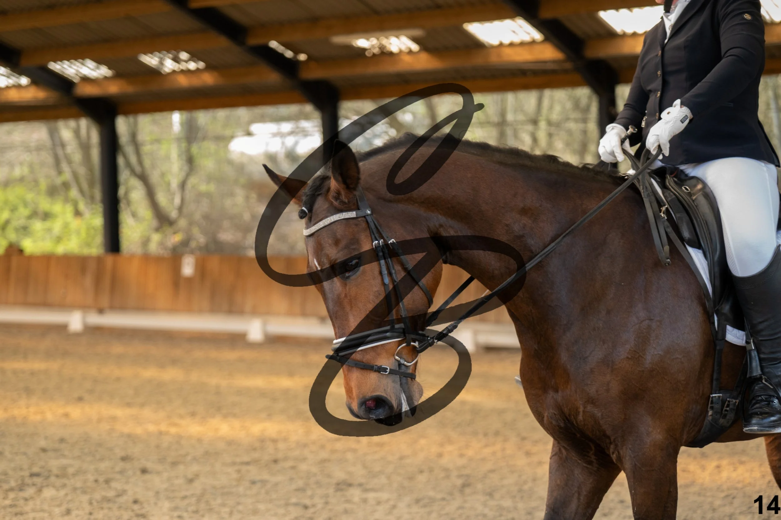 2026.03.22 - Grade 5 - intermediate test A&B-14.jpg