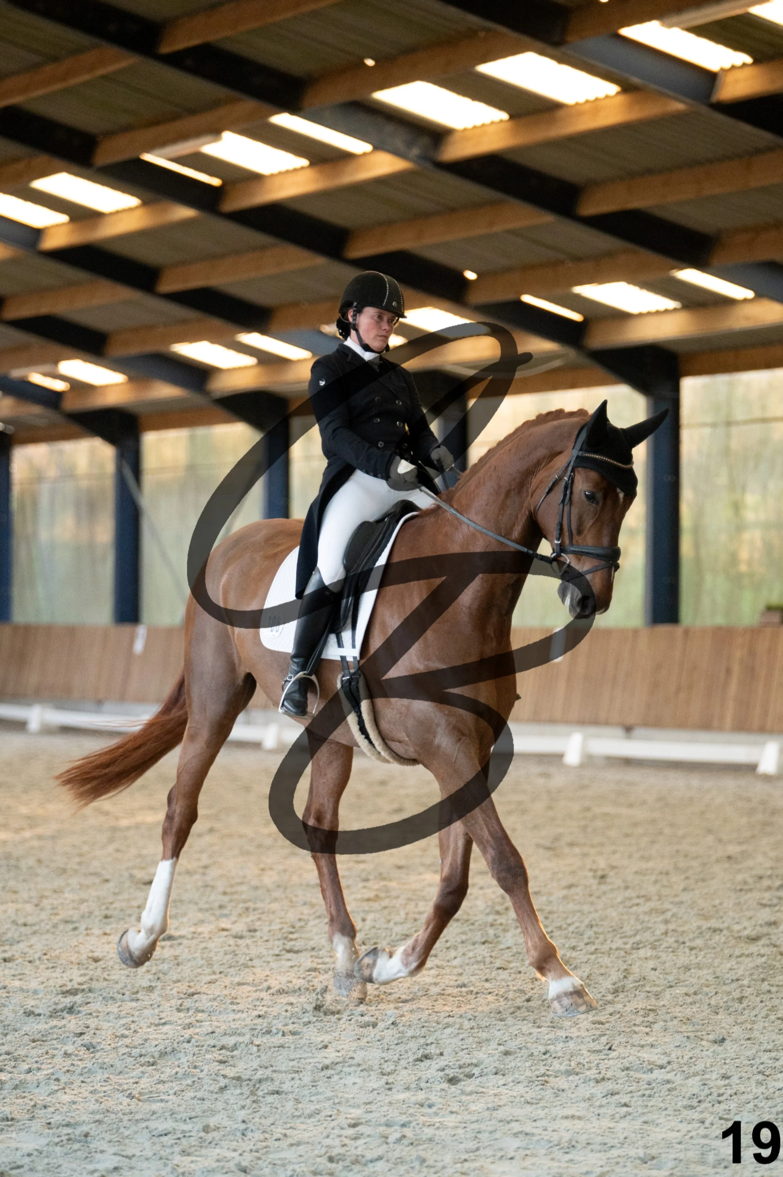 2026.03.22 - niv5 - saint georges-19.jpg