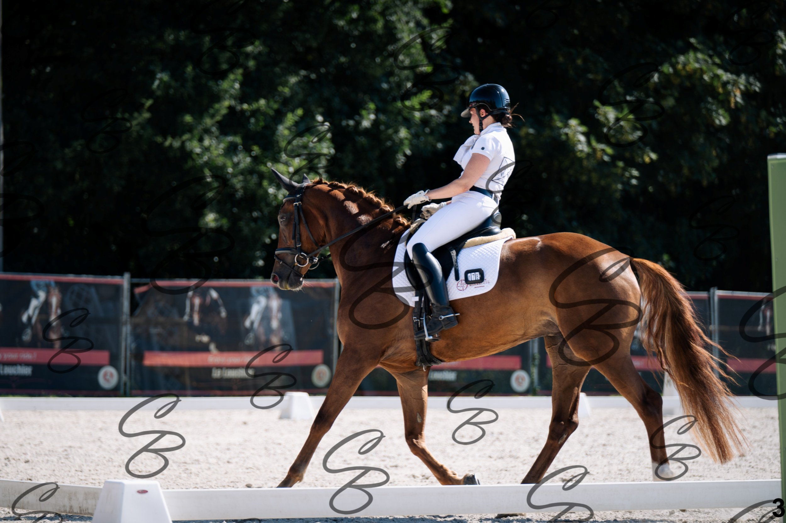 2026.07.12 - Jeunes chevaux - FEI 5YH Preliminary Test-3.jpg
