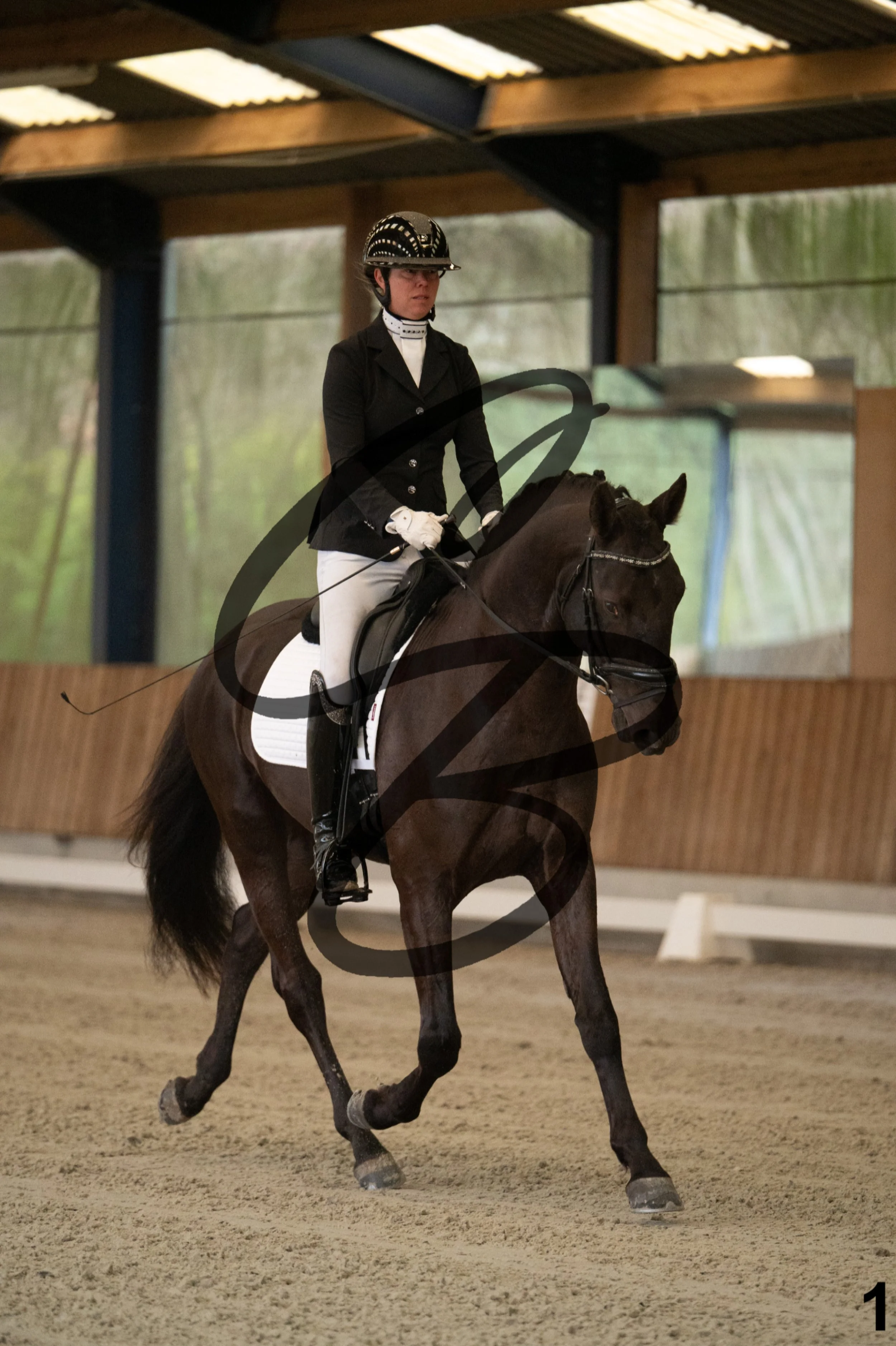 2026.03.22 - jeunes chevaux - 4 ans-1.jpg