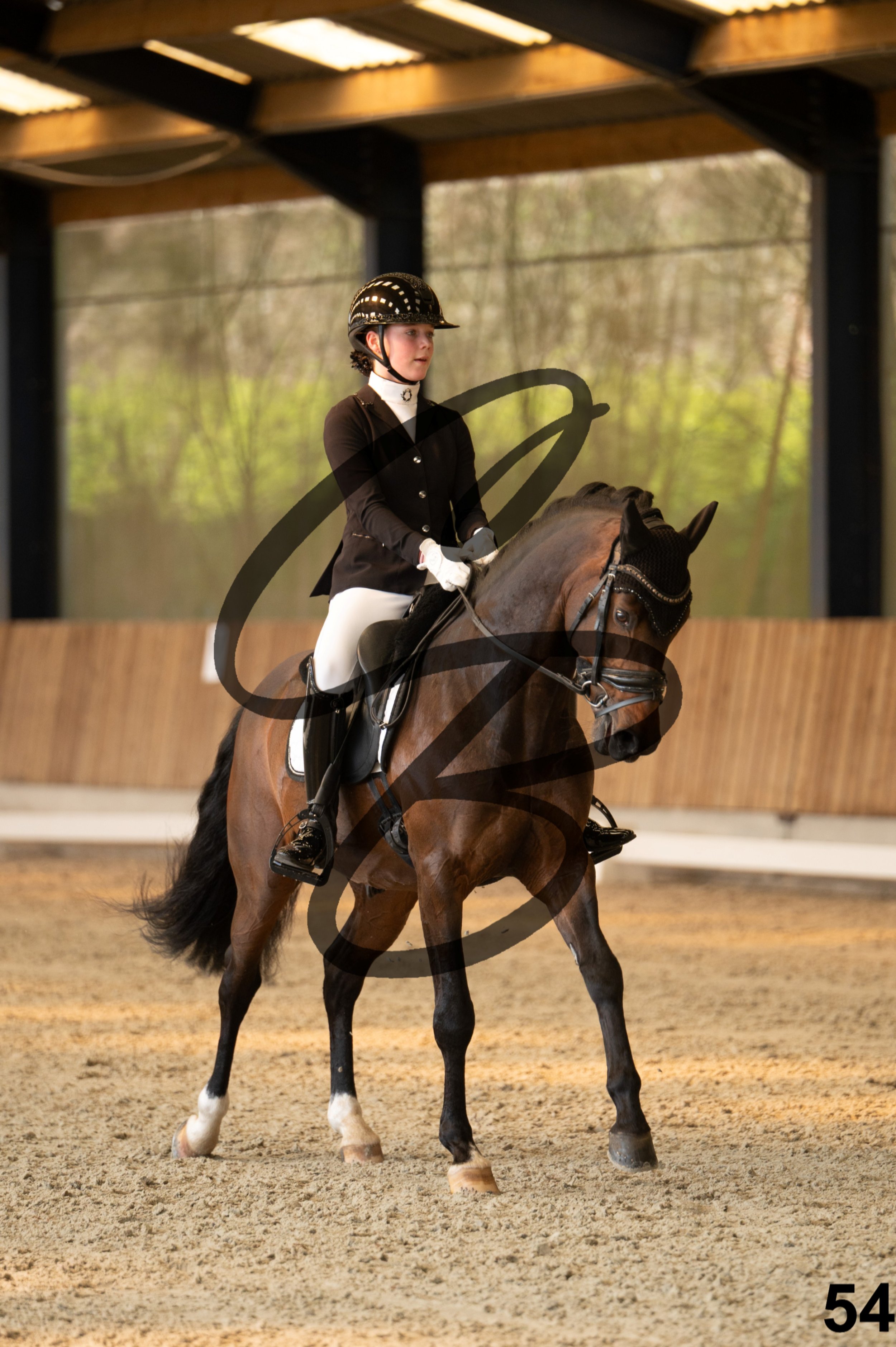 2026.03.22 - Niv3 - pony team test-54.jpg