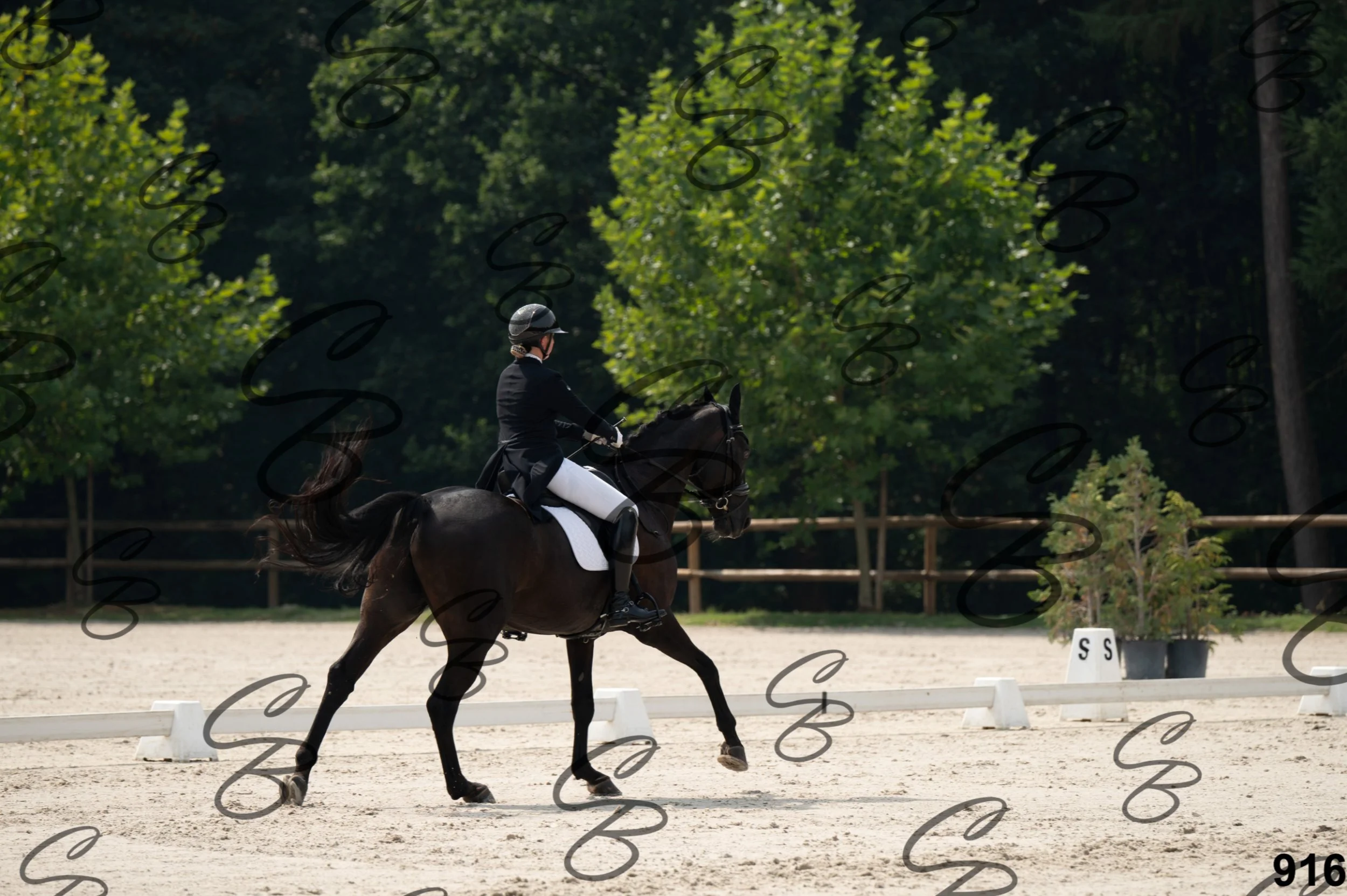 2026.08.15 - Louchier - GHO-1017.jpg