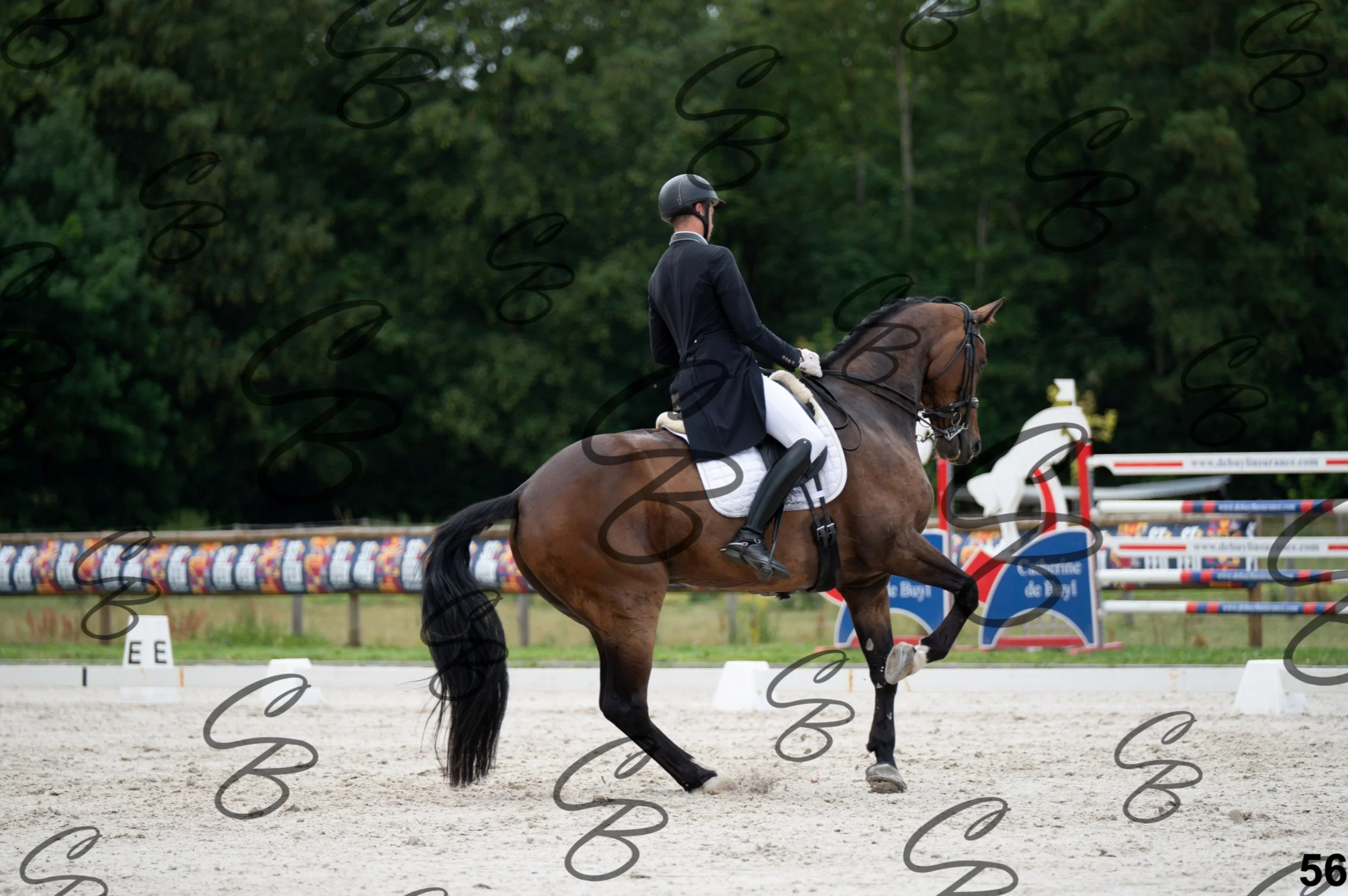 2026.07.04 - 4 Woutter D'hHoore-11.jpg