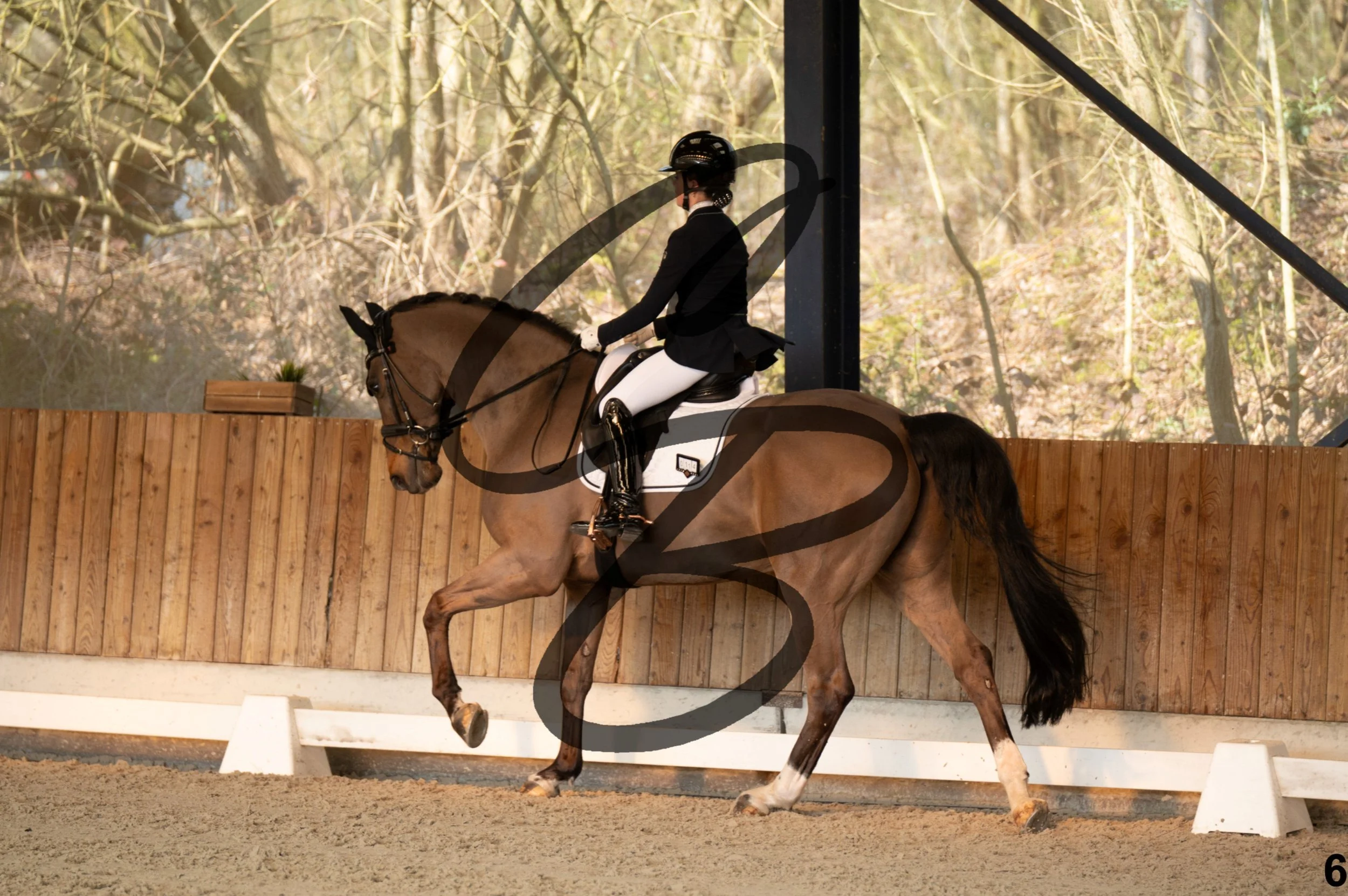 2026.03.22 - Niv2 - children team test-6.jpg