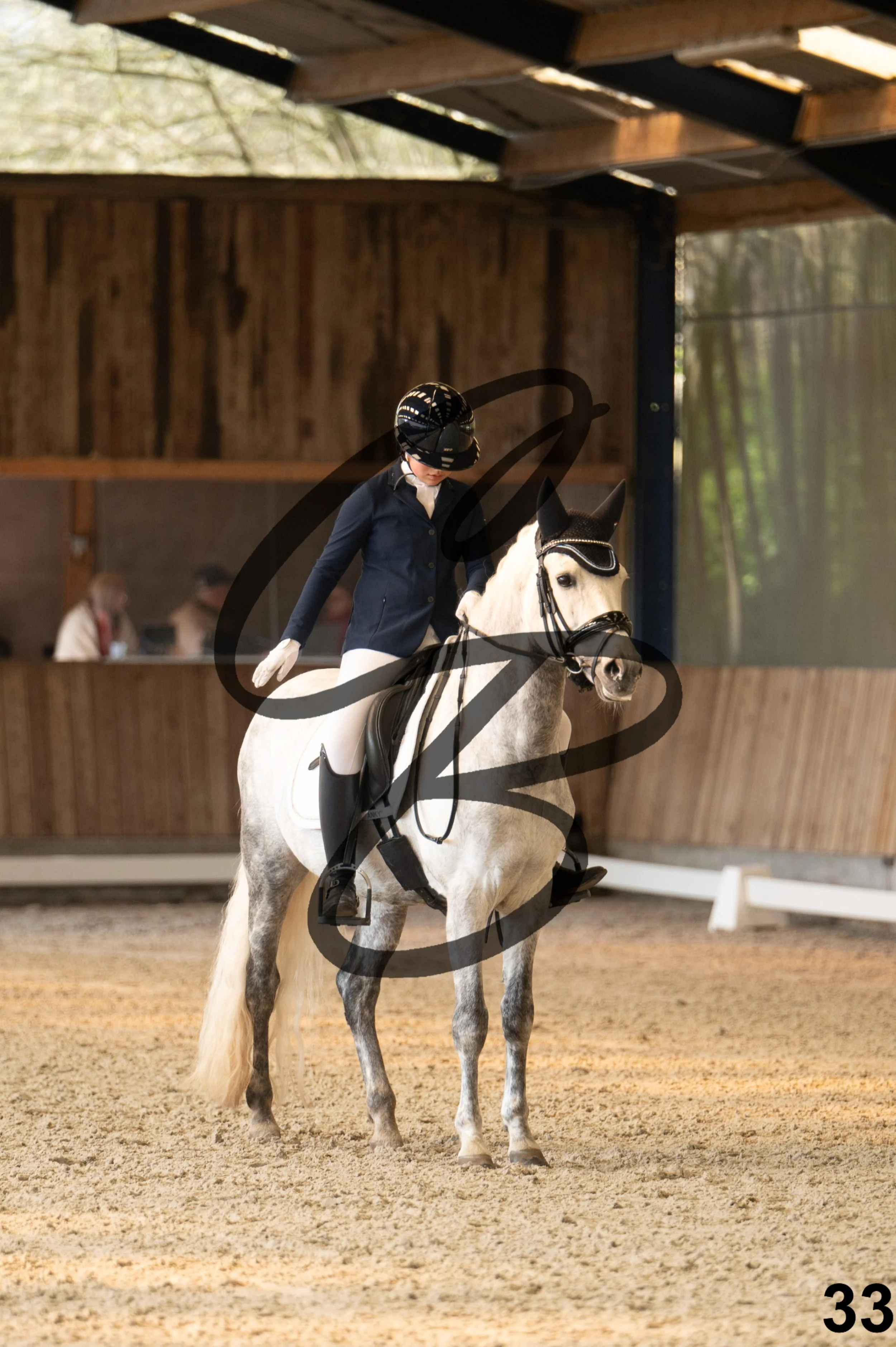 2026.03.22 - Niv3 - pony team test-33.jpg