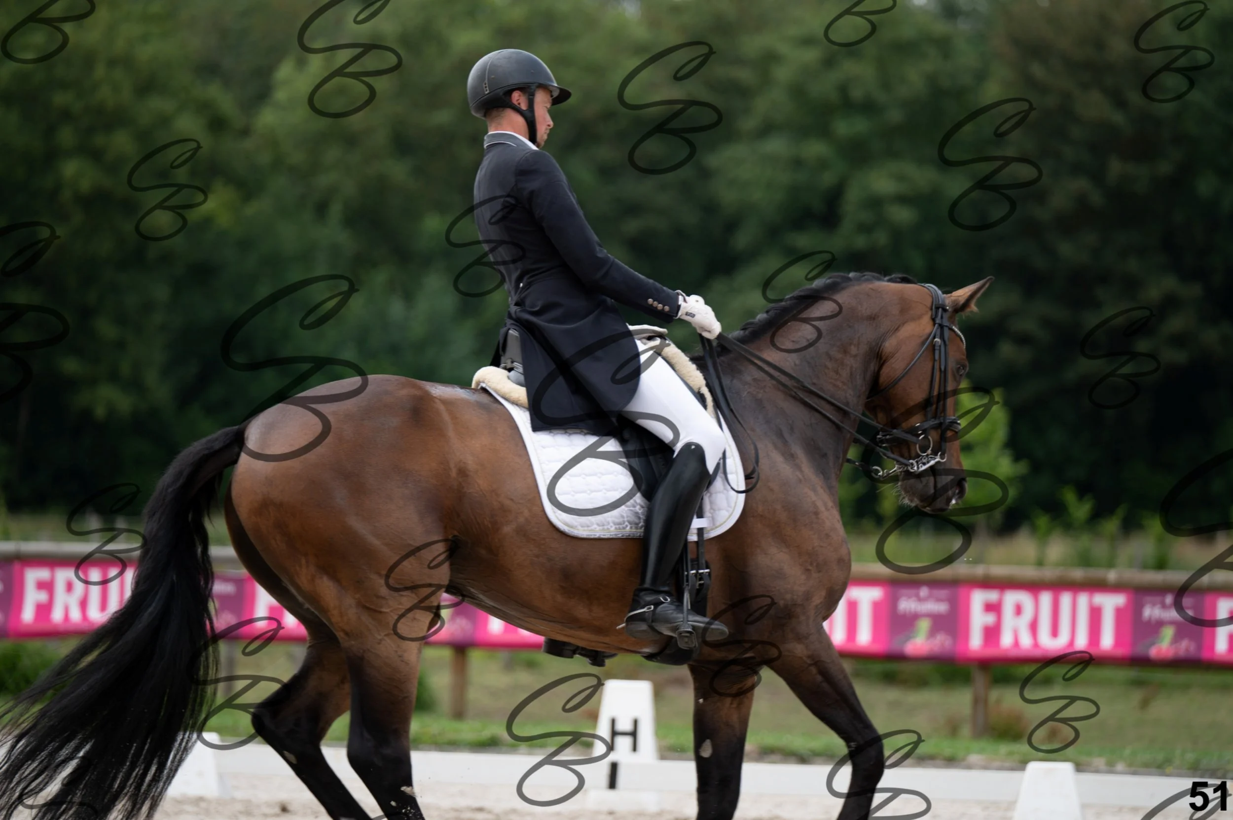 2026.07.04 - 4 Woutter D'hHoore-6.jpg