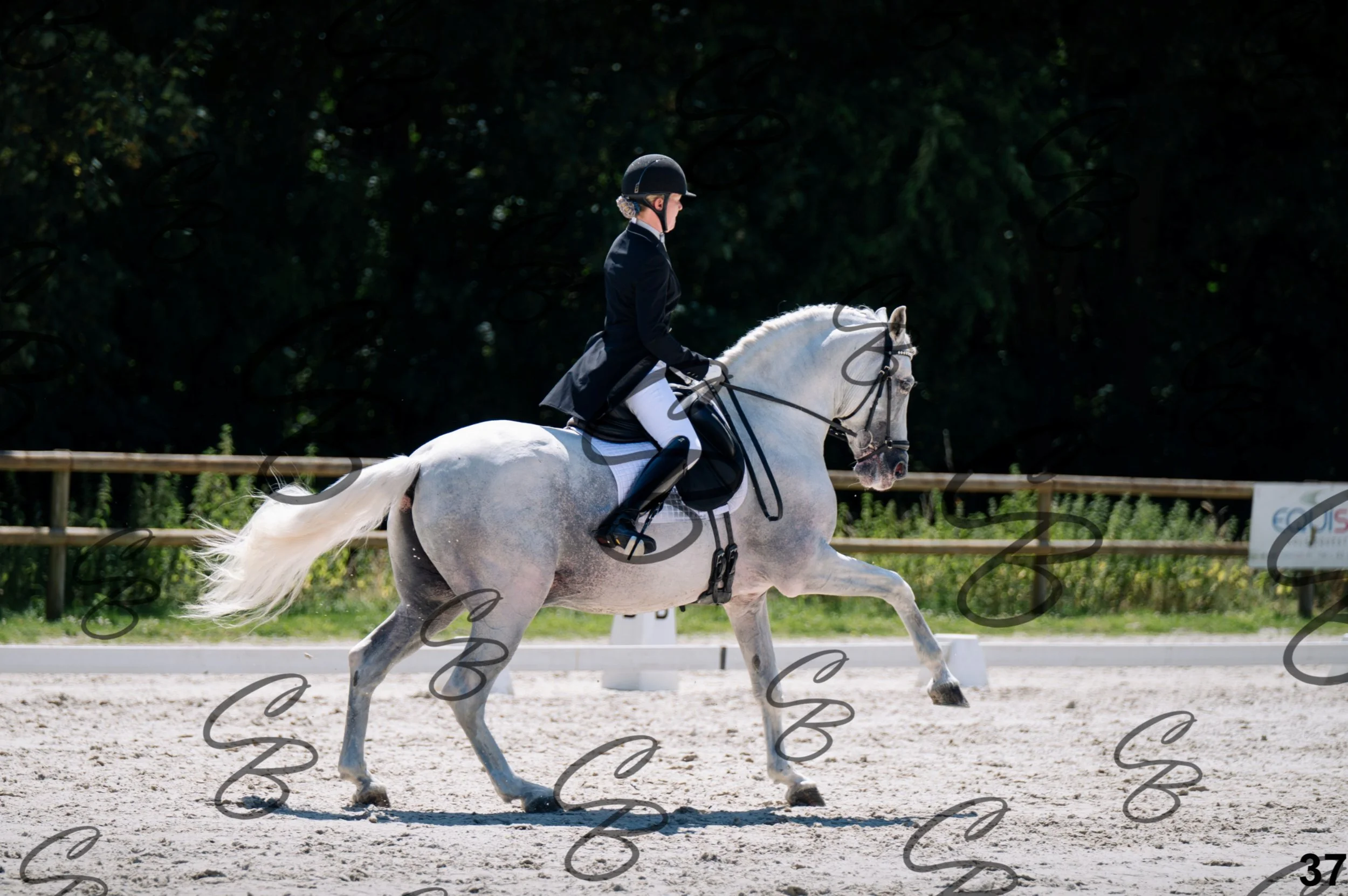 2026.07.11 - 13 Reyale - Niveau 6 - REYALE-38.jpg