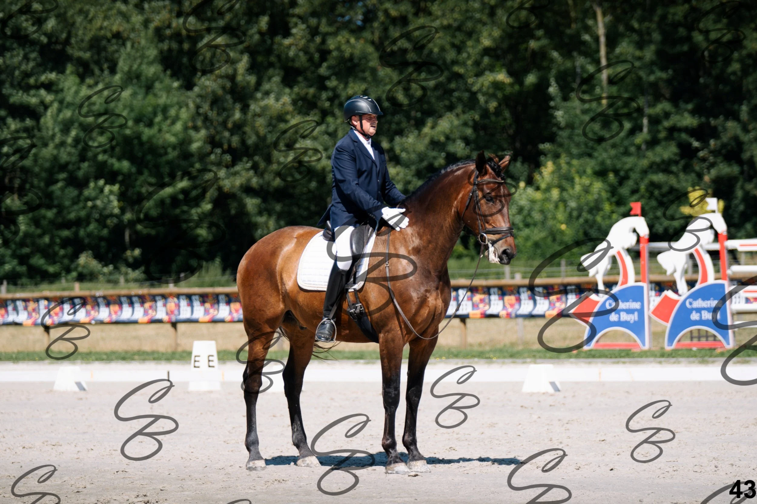 2026.07.11 - Golega - Niveau 1 - GOLEGA-43.jpg