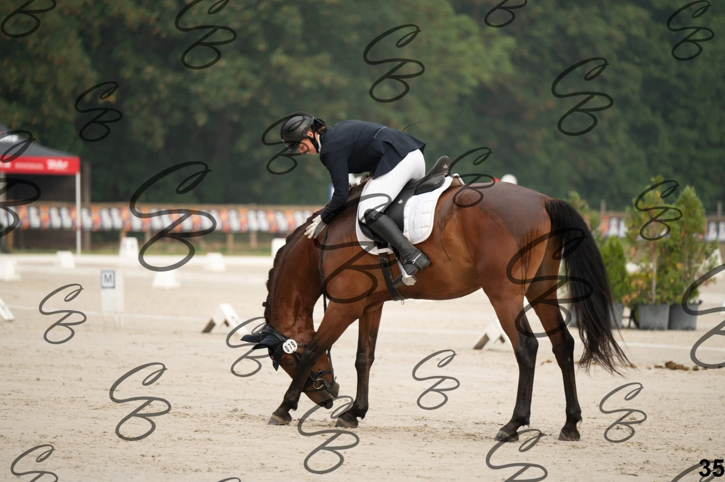 2026.08.15 - Louchier - GHO-58.jpg