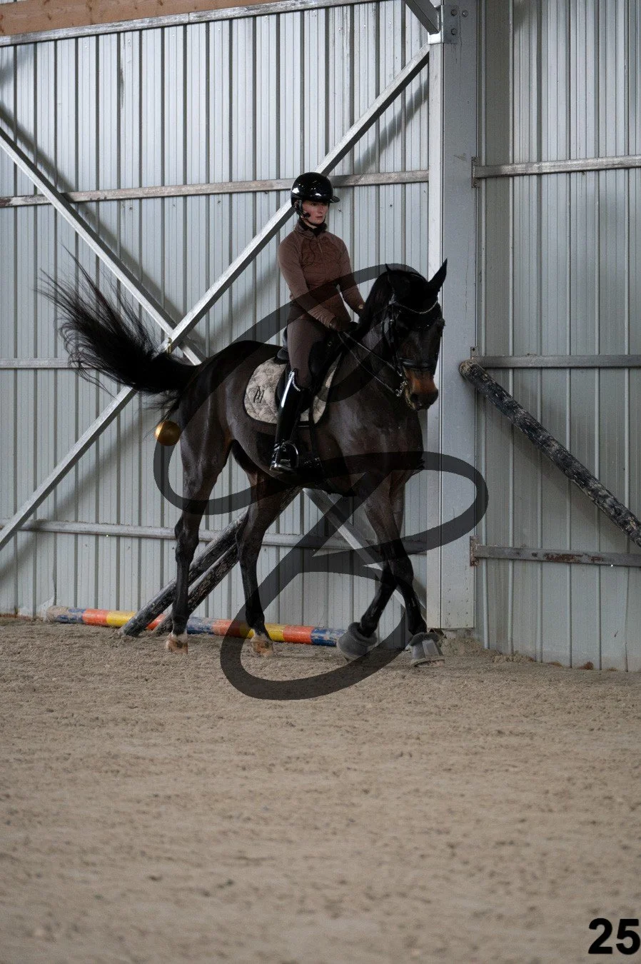 2025.12.06 - Manon&Dab-25.jpg