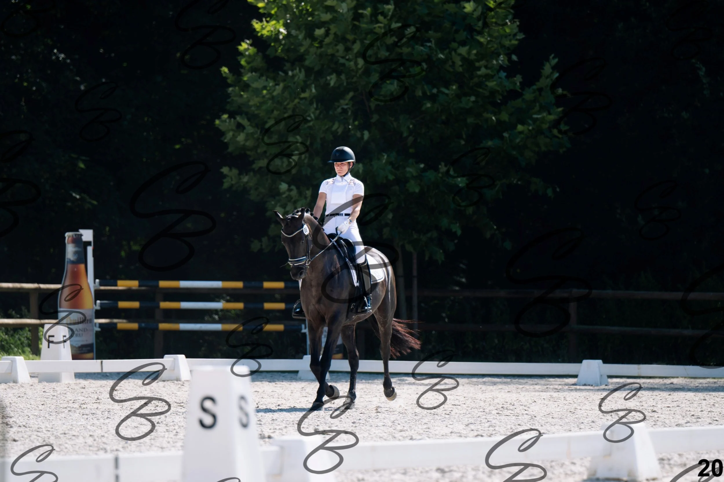 2026.07.12 - Jeunes chevaux - FEI 5YH Preliminary Test-20.jpg