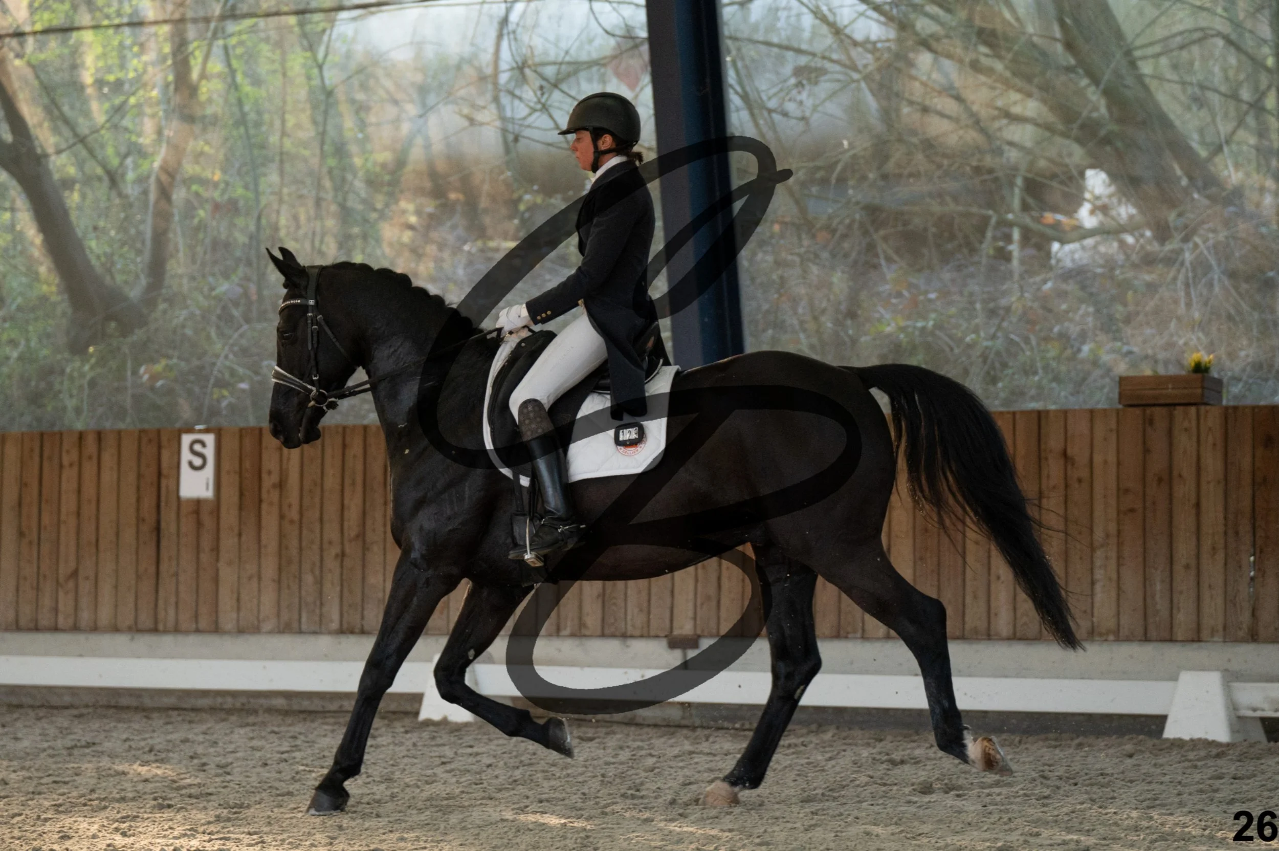 2026.03.22 - niv4.2-26.jpg