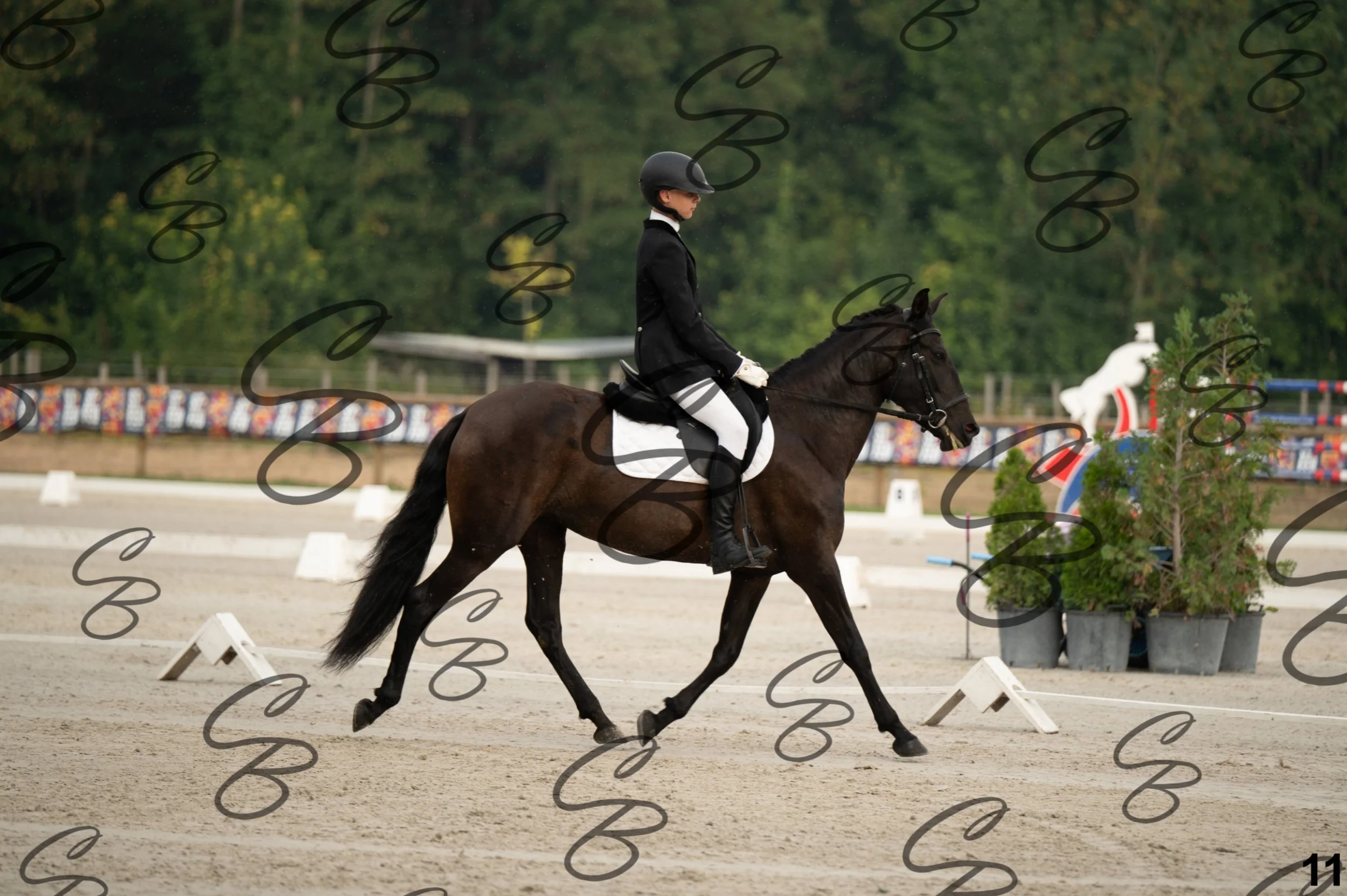 2026.08.15 - Louchier - GHO-25.jpg