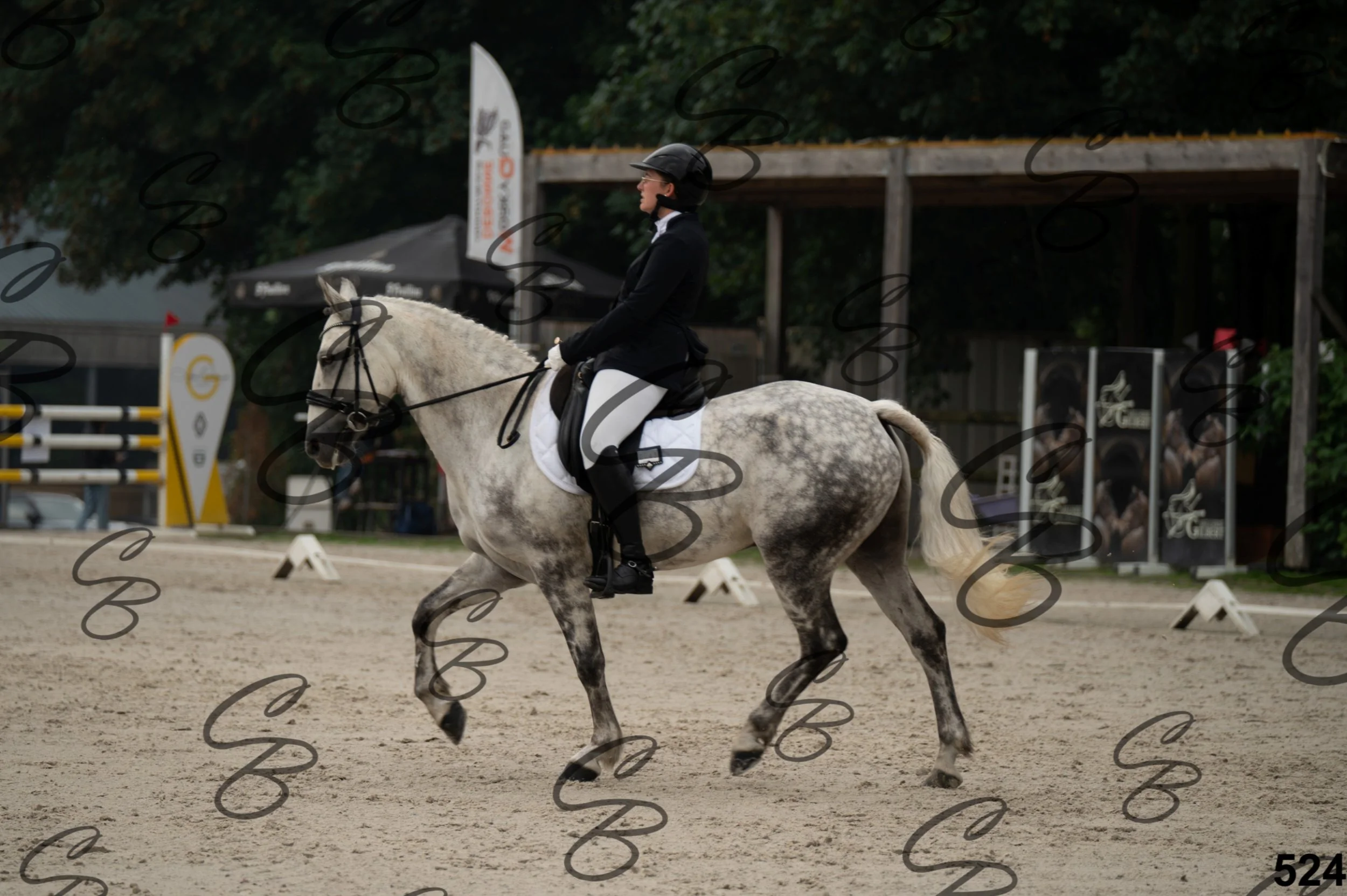 2026.08.15 - Louchier - GHO-385.jpg