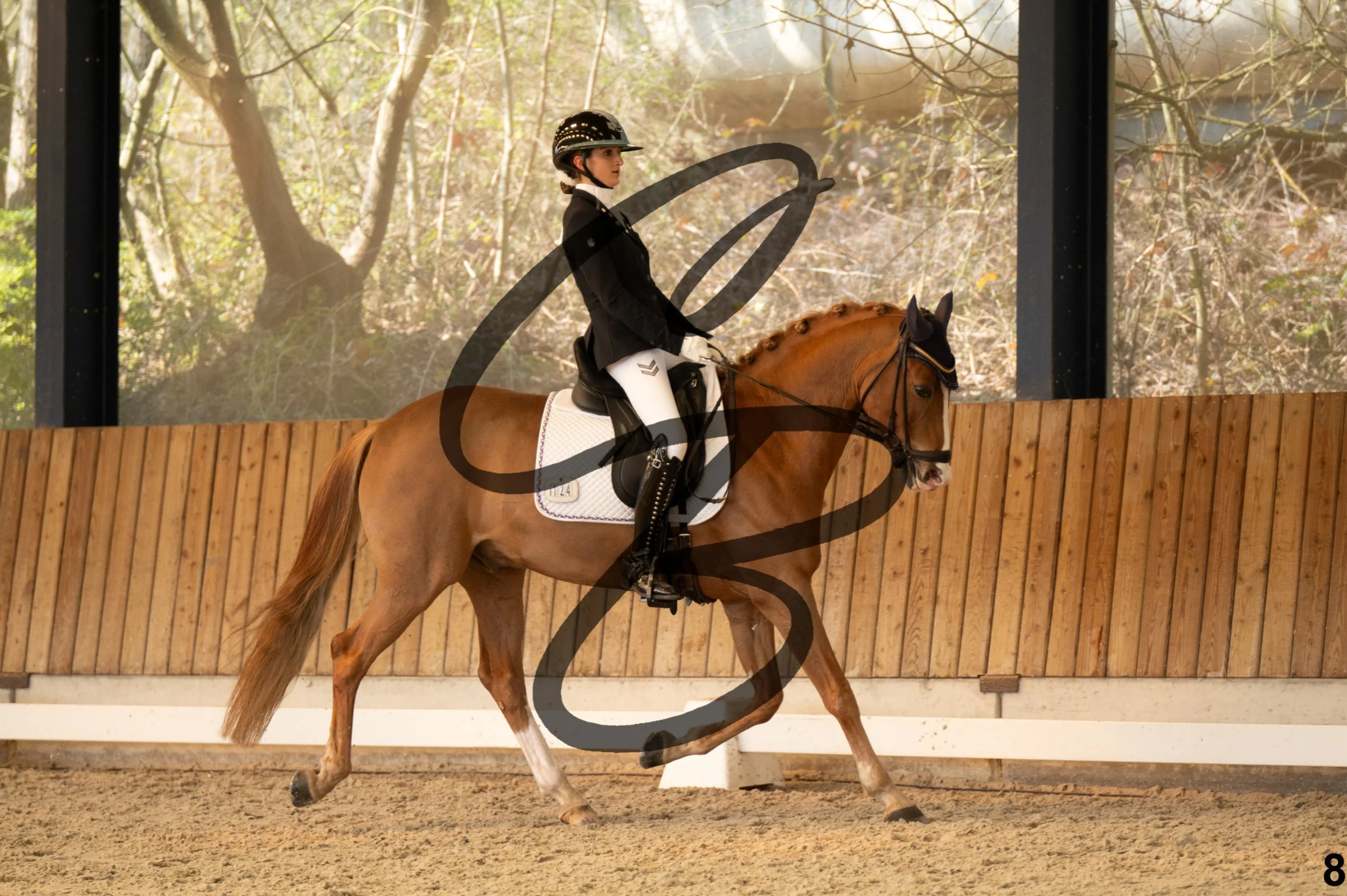 2026.03.22 - Niv3 - Pony individual test-8.jpg