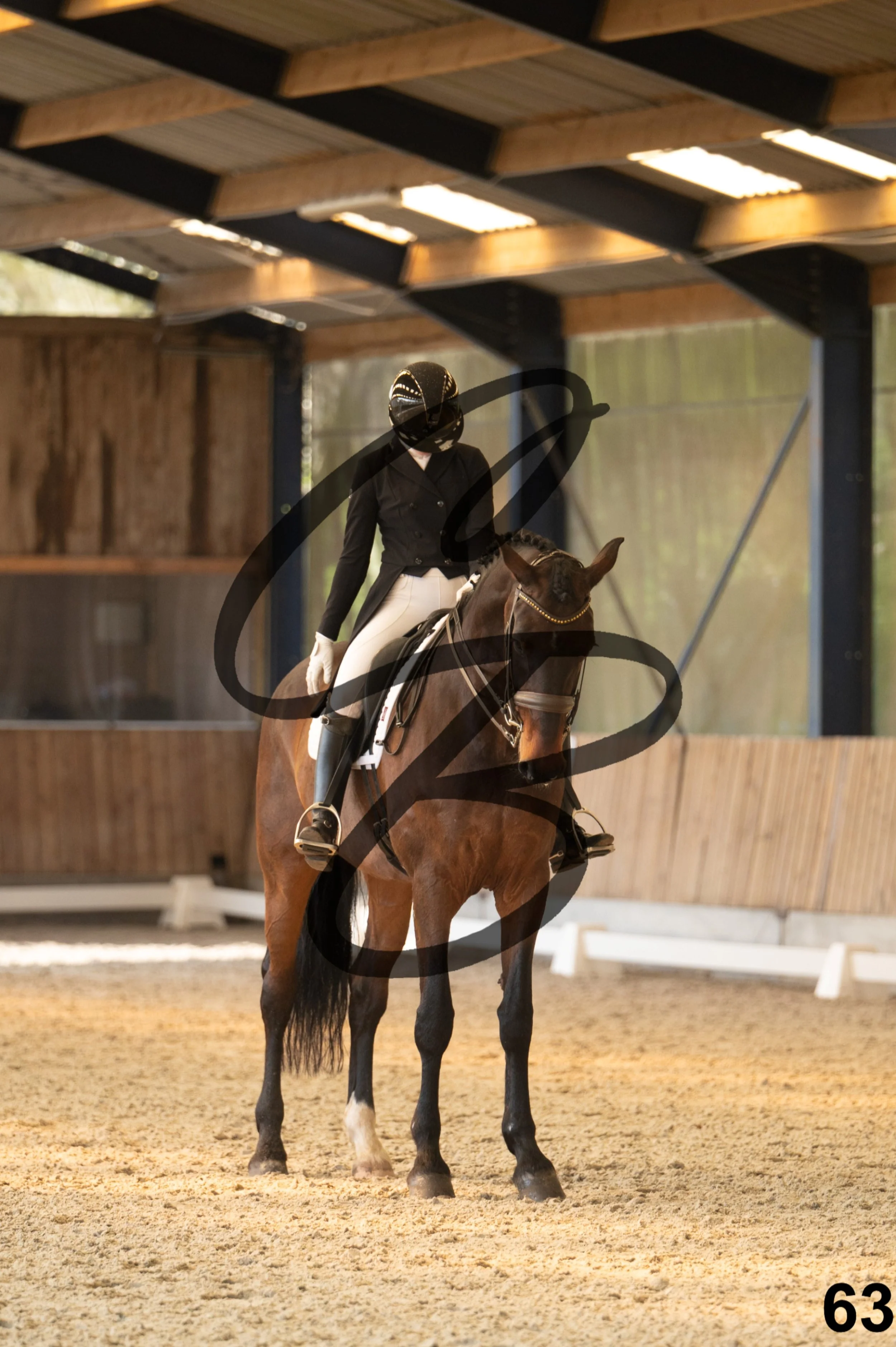 2026.03.22 - Niv5 - Young rider team-63.jpg