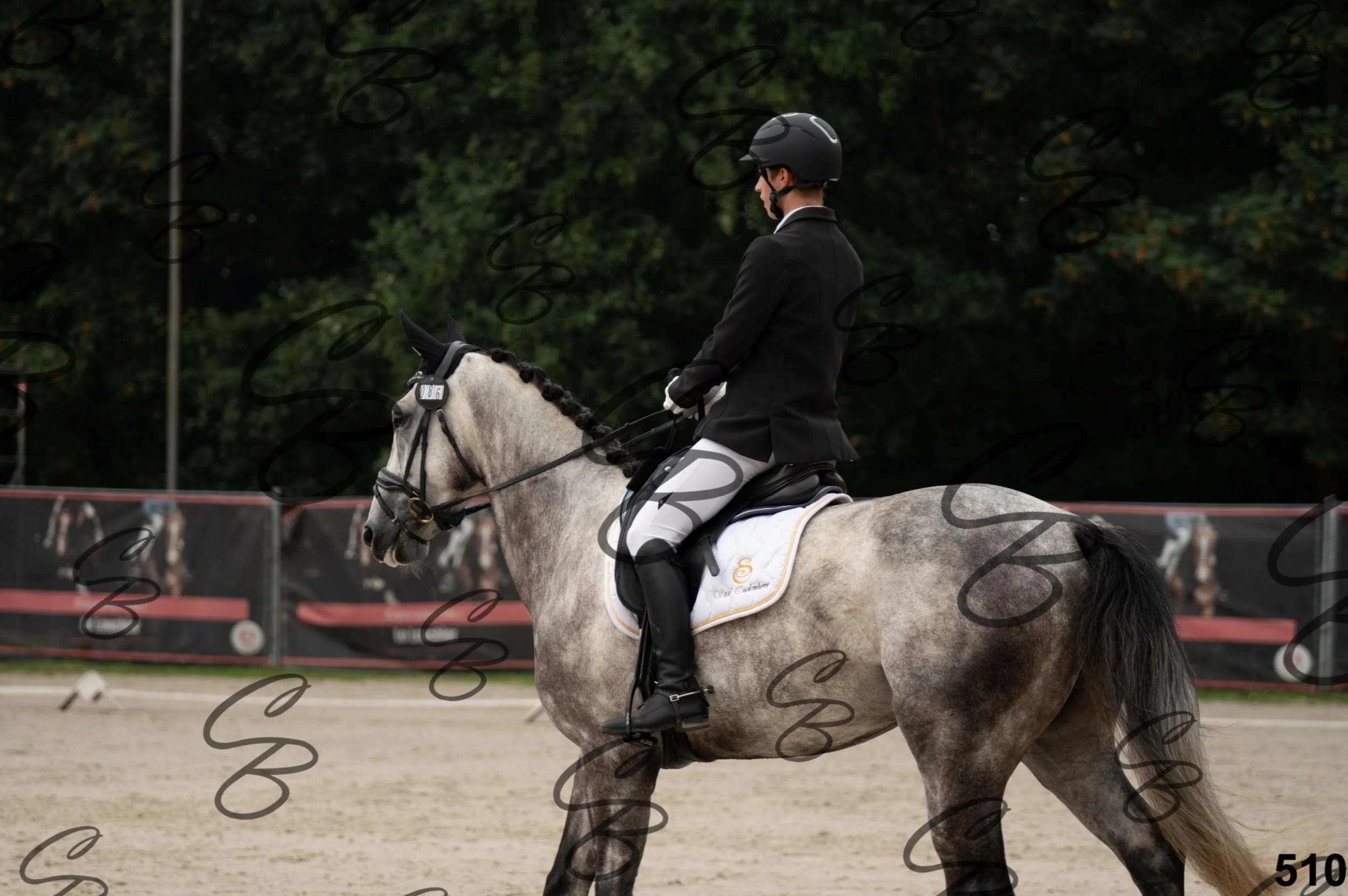 2026.08.15 - Louchier - GHO-335.jpg