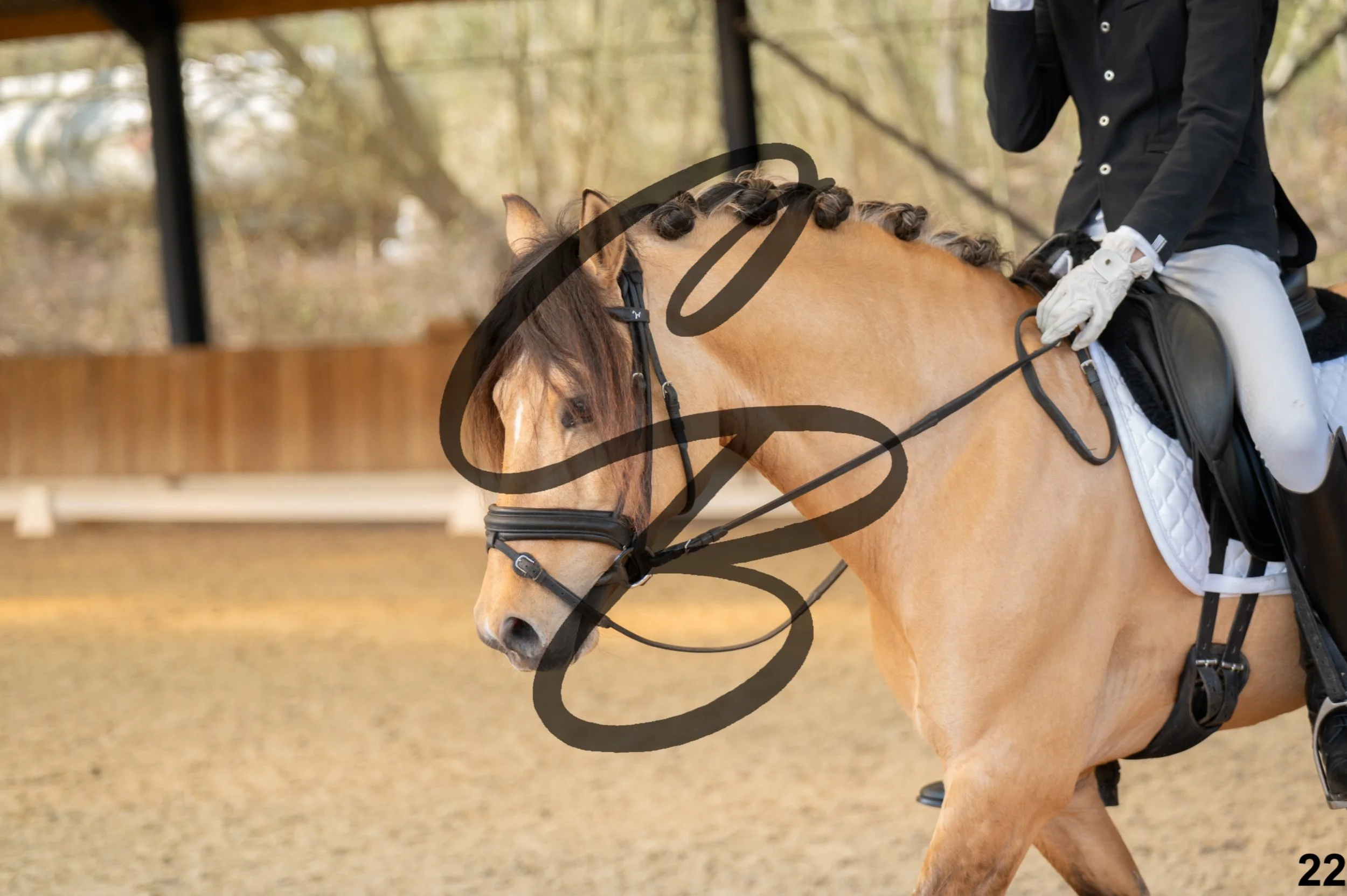 2026.03.22 - Niv3 - Pony individual test-22.jpg