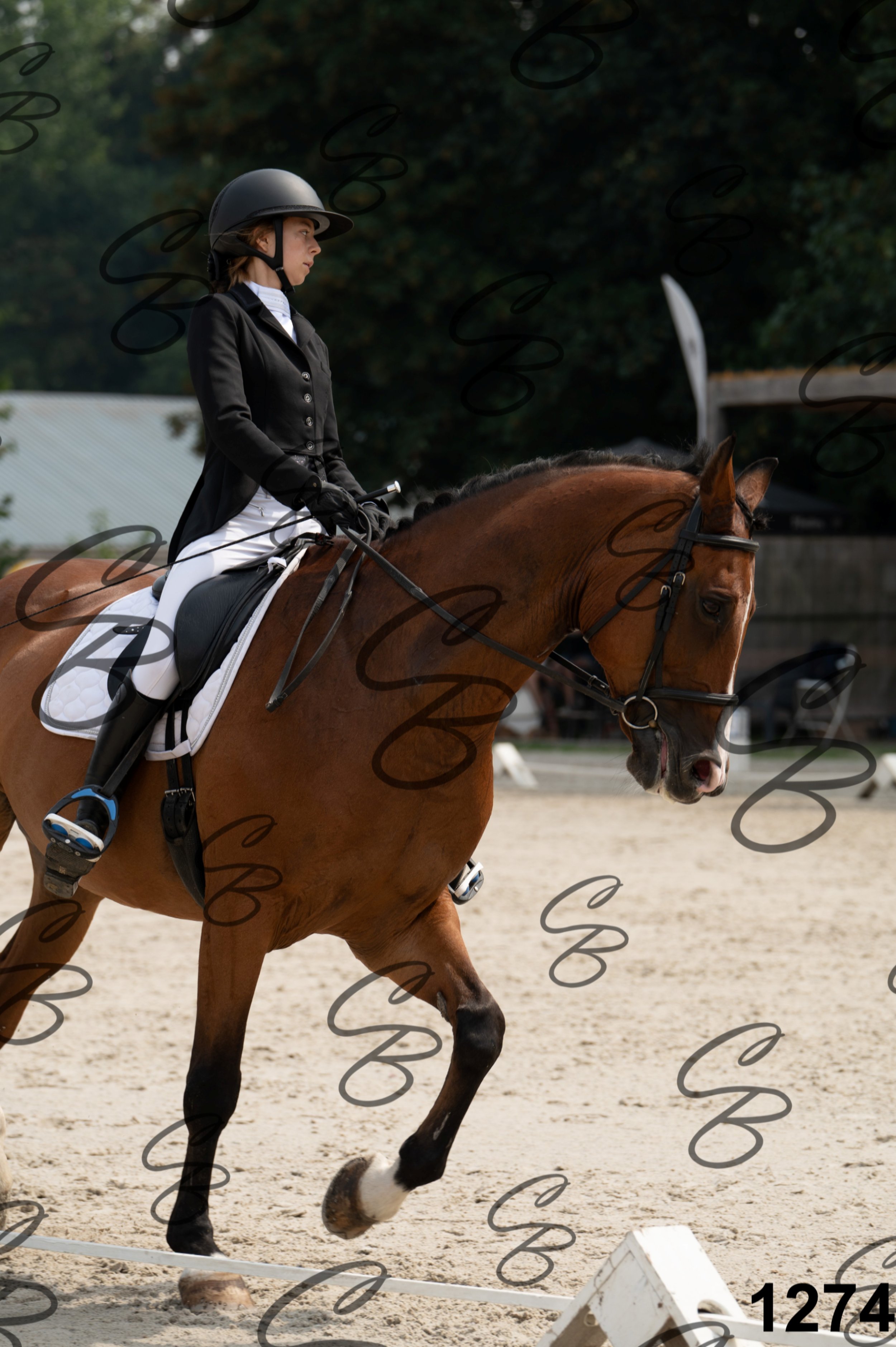 2026.08.15 - Louchier - GHO-1137.jpg