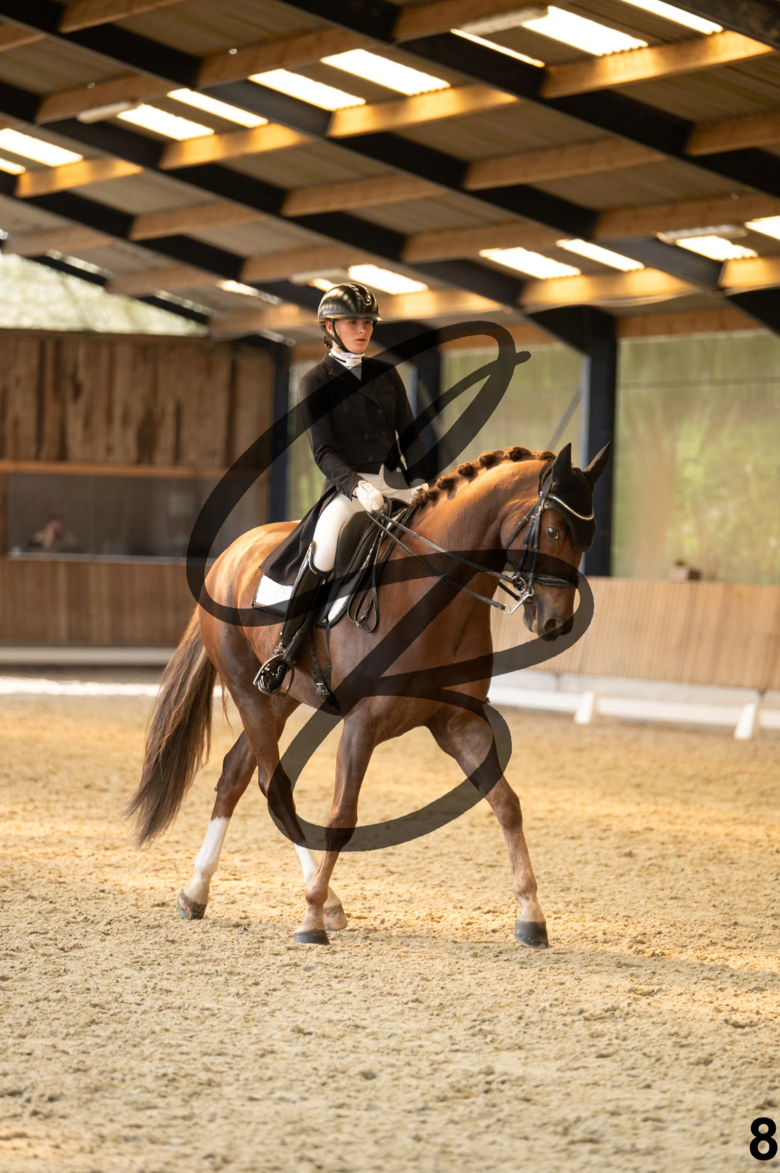 2026.03.22 - Niv4 - Junior individual test-8.jpg