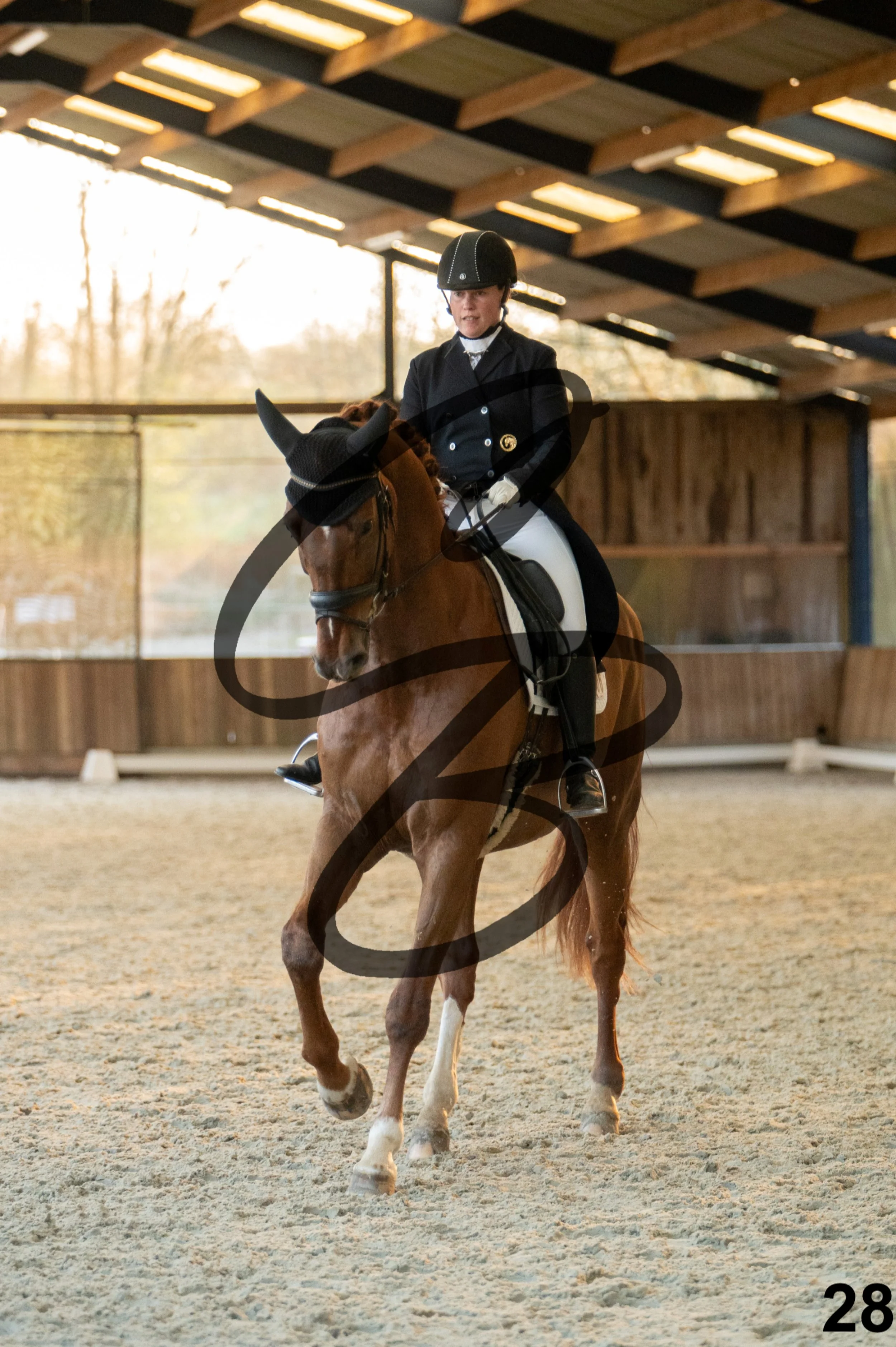 2026.03.22 - niv5 - saint georges-28.jpg