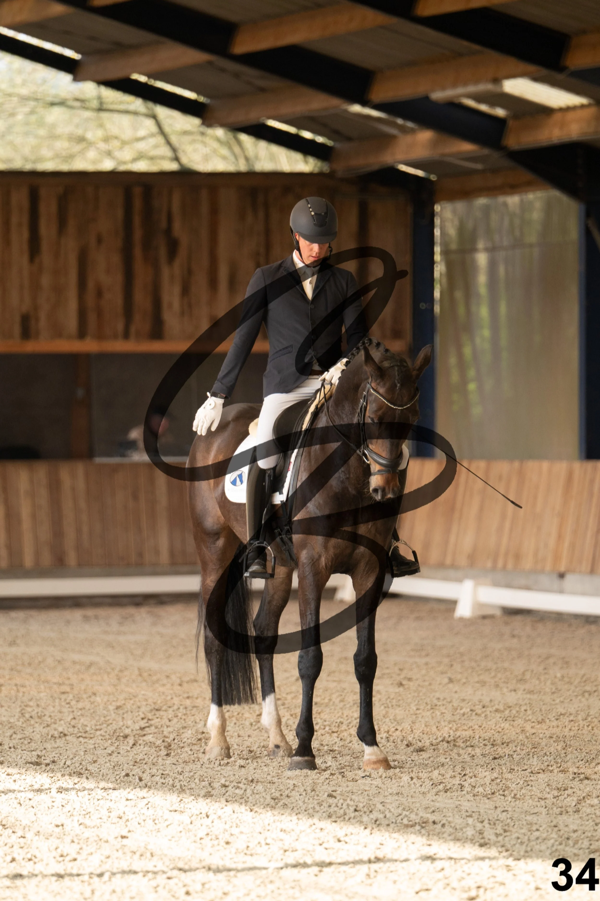 2026.03.22 - jeunes chevaux - 6ans-34.jpg