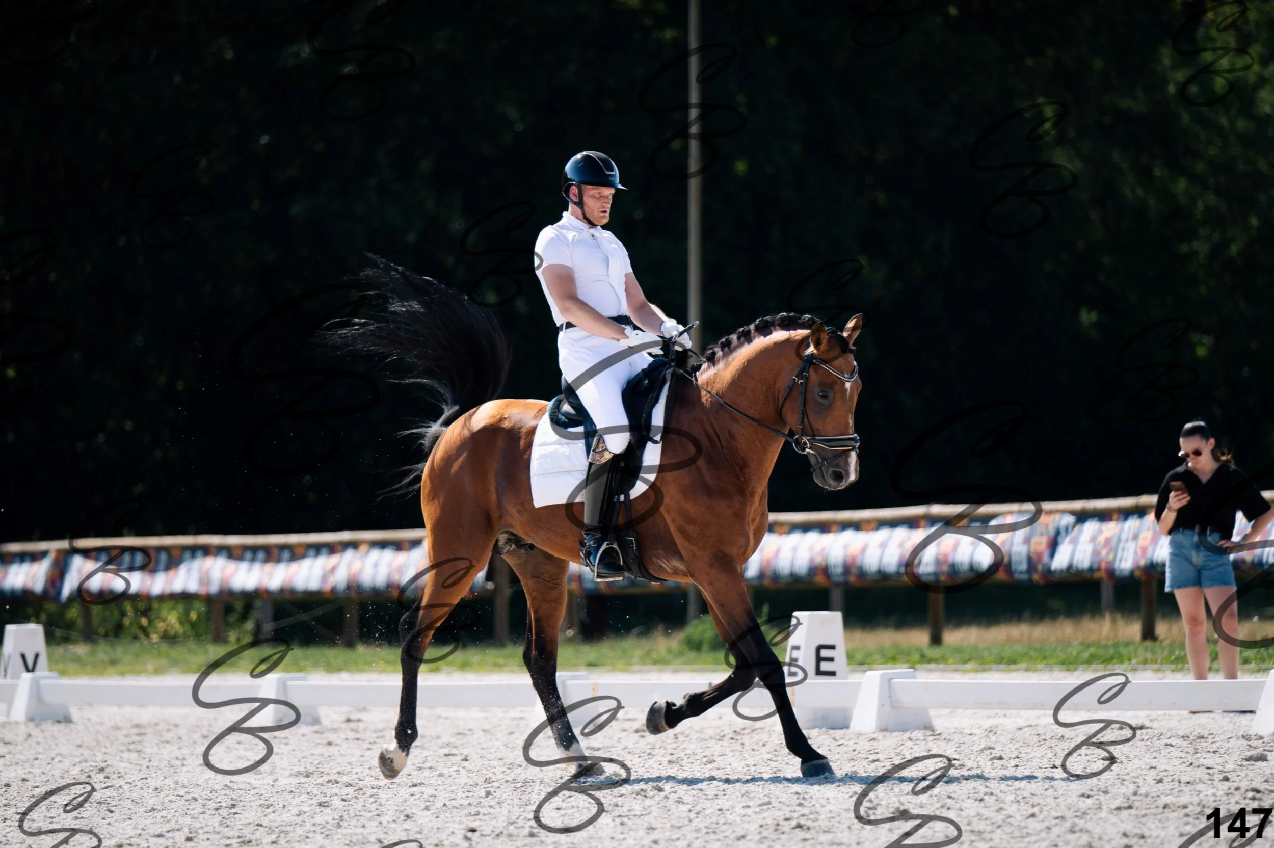 2026.07.12 - Niveau 2 - N2.4-147.jpg