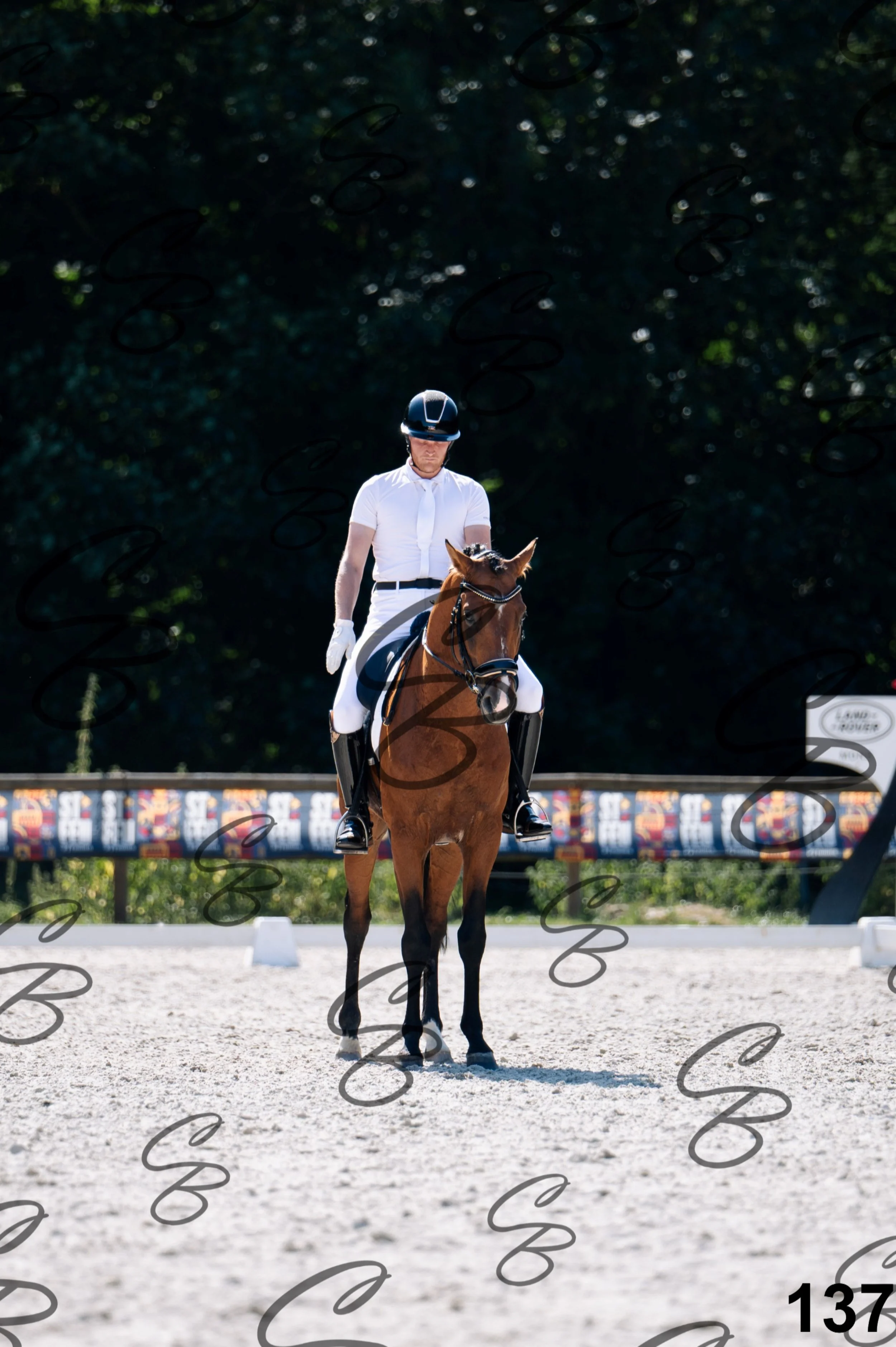 2026.07.12 - Niveau 2 - N2.4-137.jpg