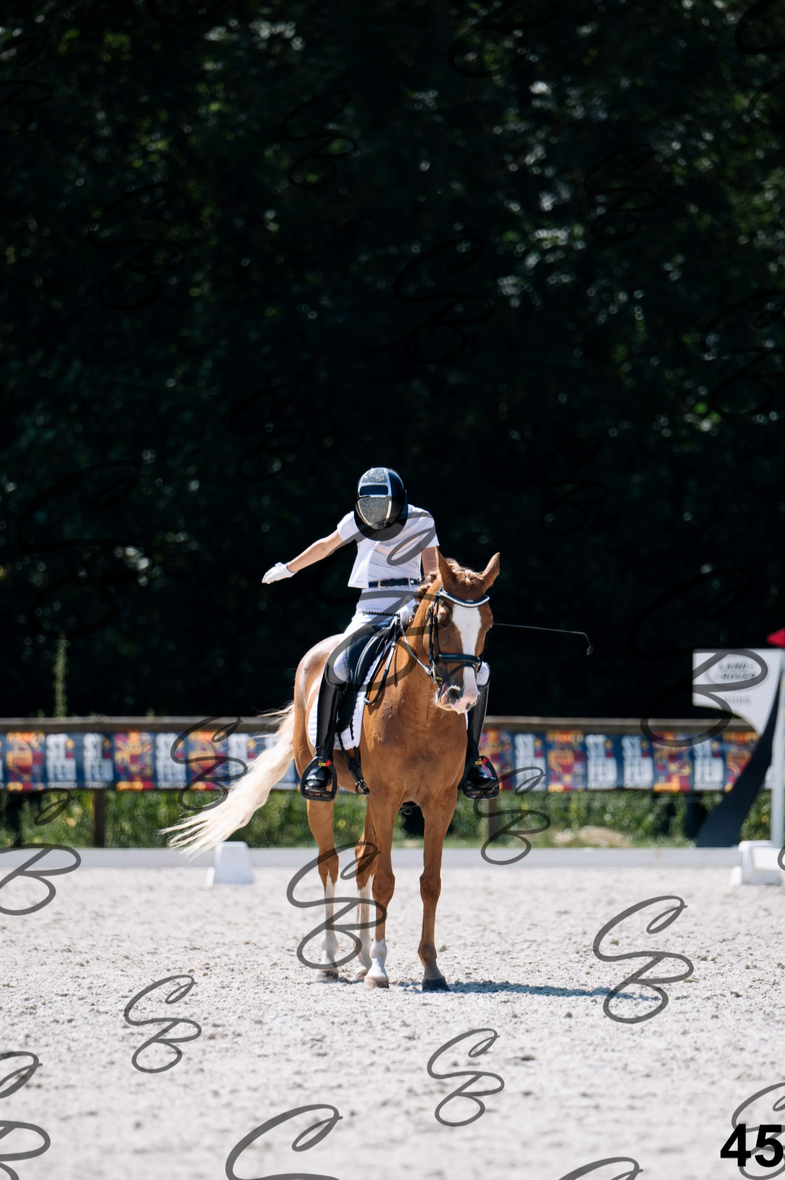 2026.07.12 - Niveau 2 - N2.4-45.jpg