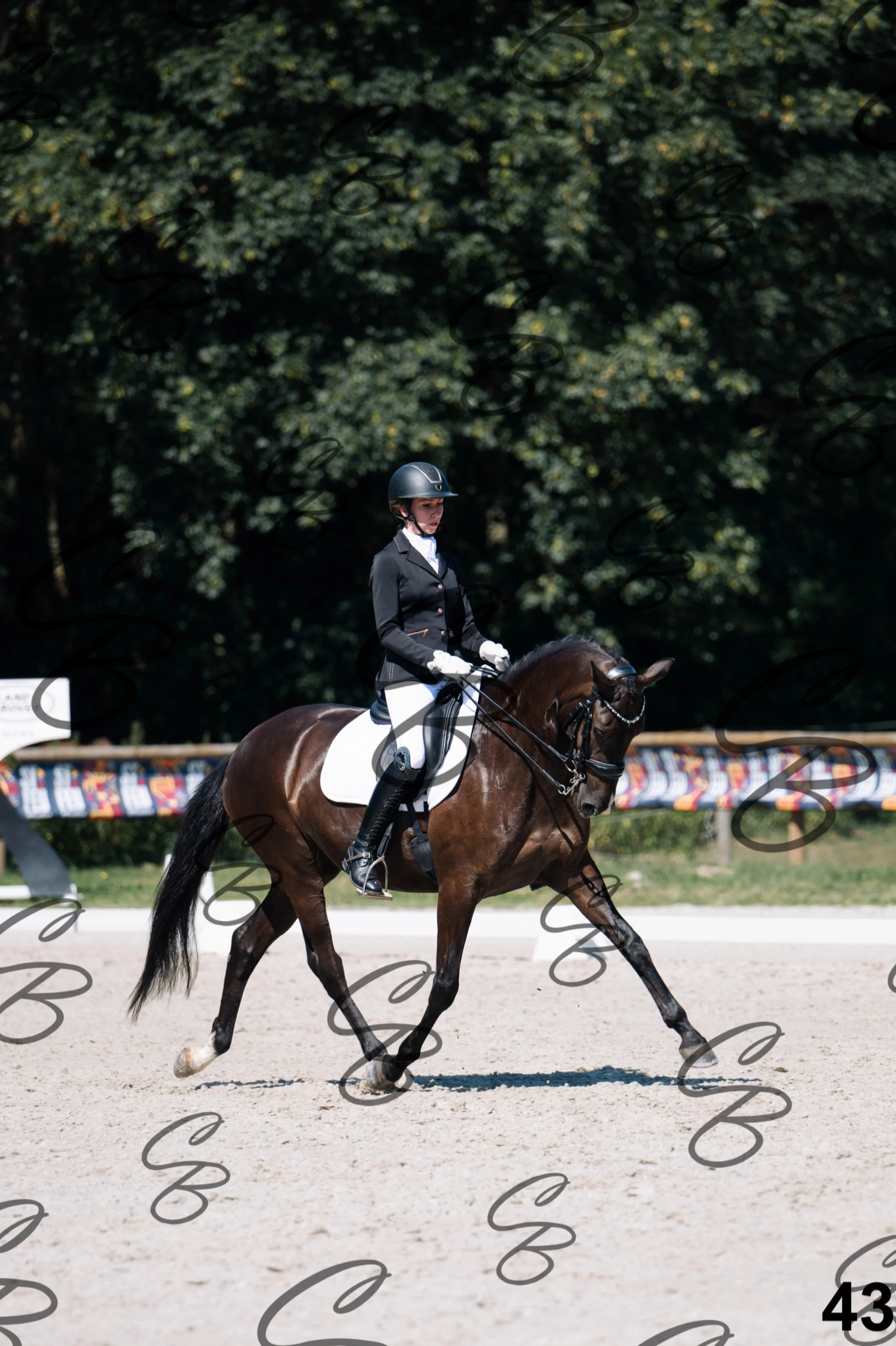 2026.07.12 - Niveau 4 - N4.3-43.jpg