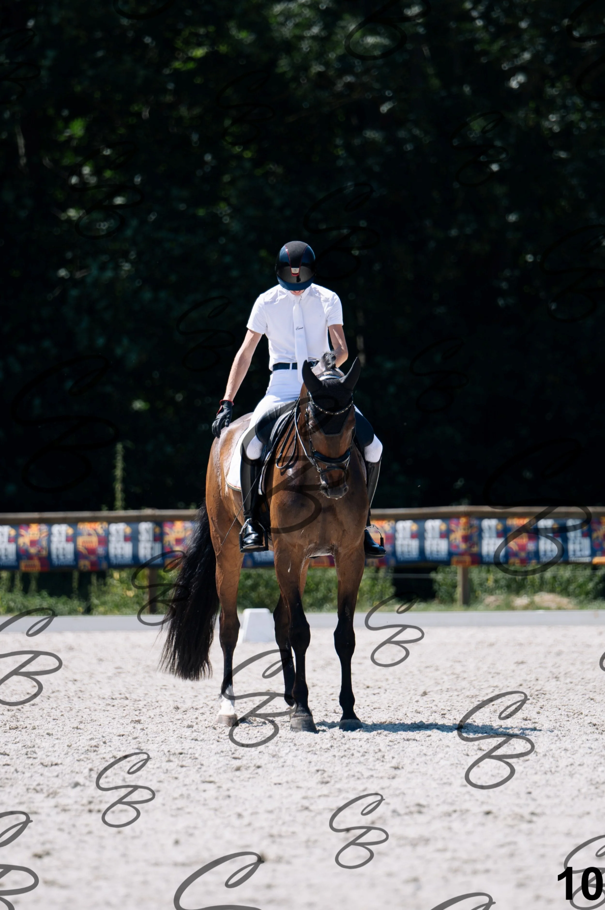 2026.07.12 - Jeunes chevaux - FEI 6YH Preliminary Test-10.jpg