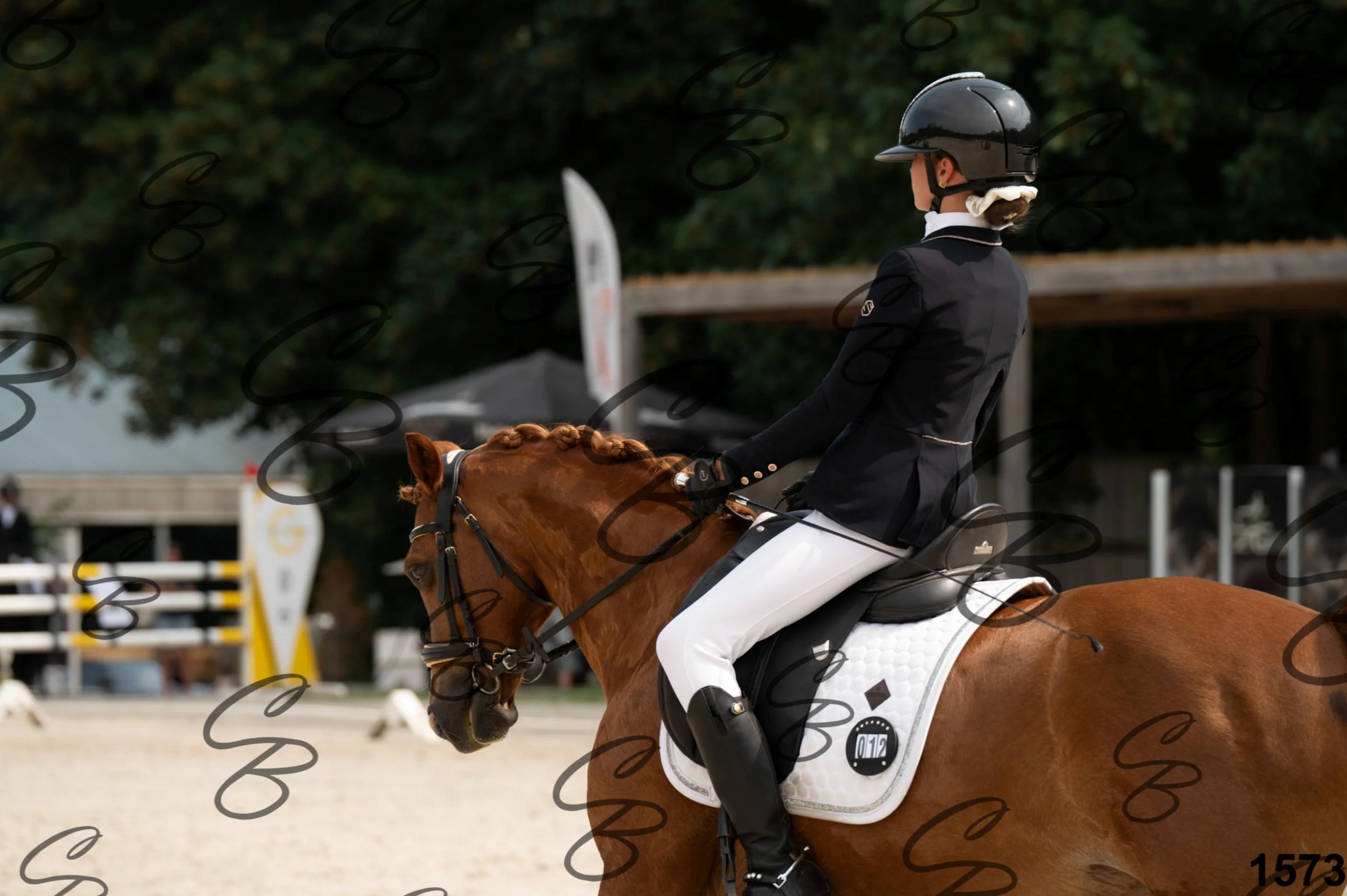 2026.08.15 - Louchier - GHO-1771.jpg