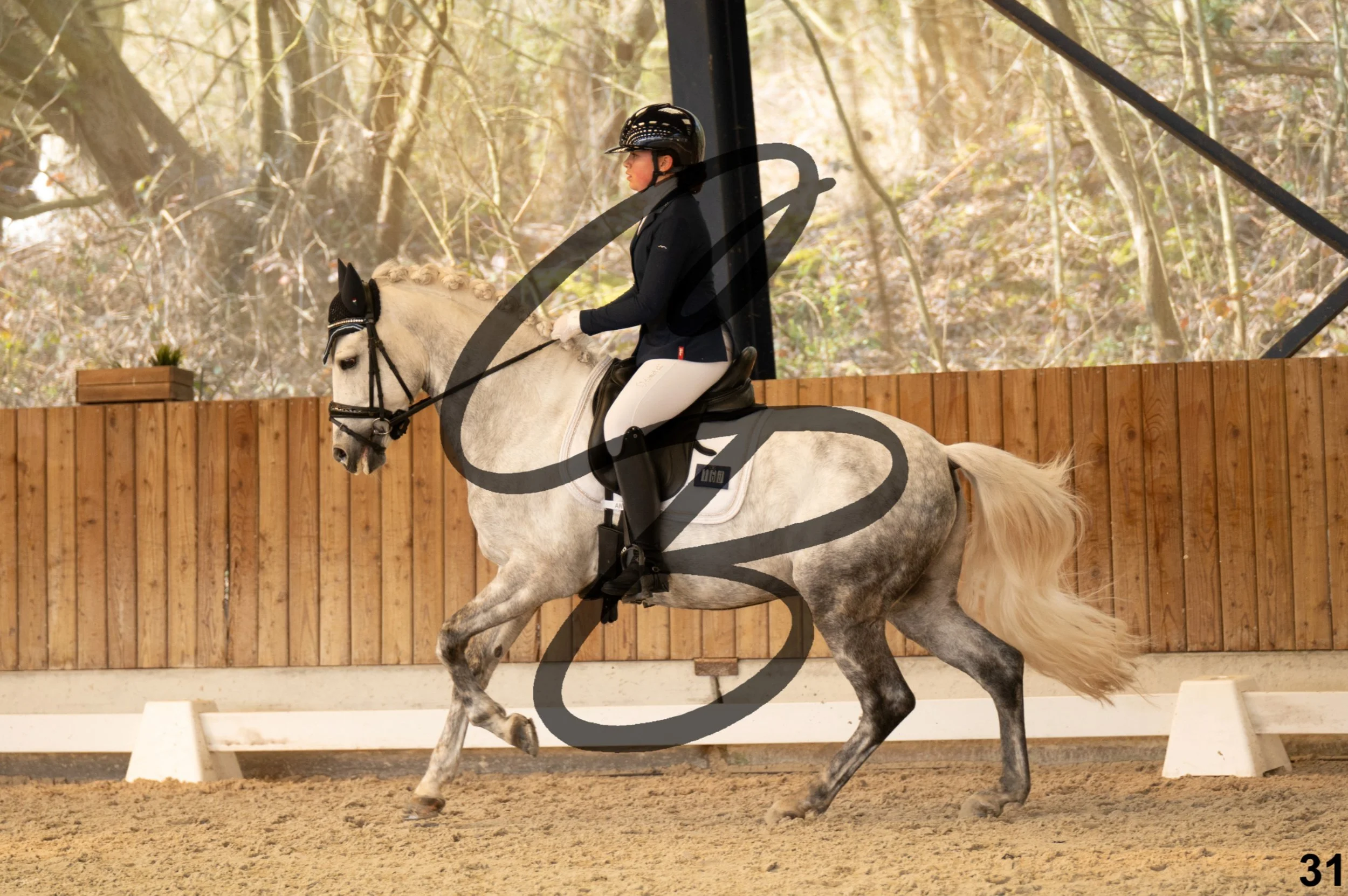 2026.03.22 - Niv3 - Pony individual test-31.jpg