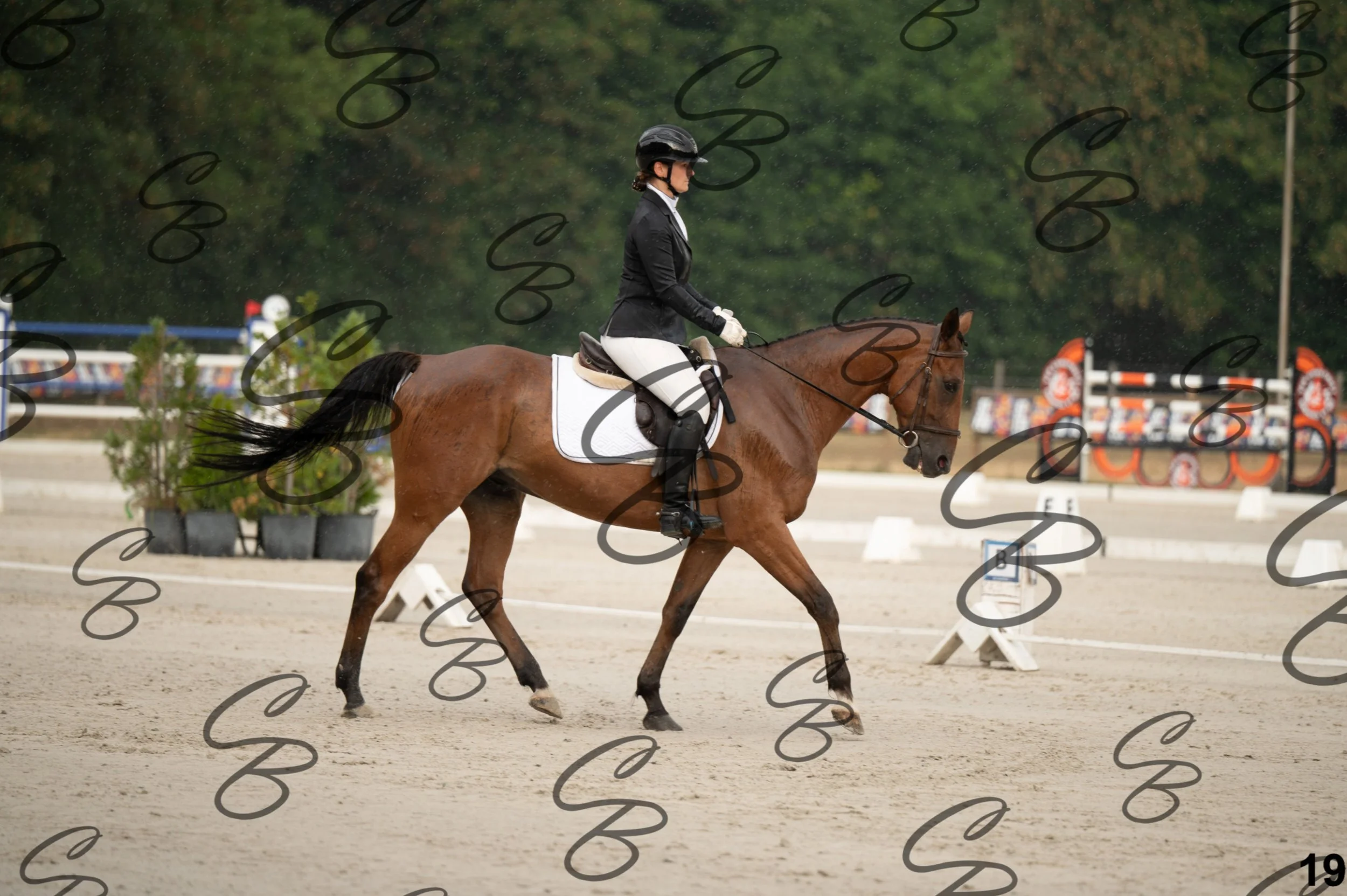 2026.08.15 - Louchier - GHO-38.jpg