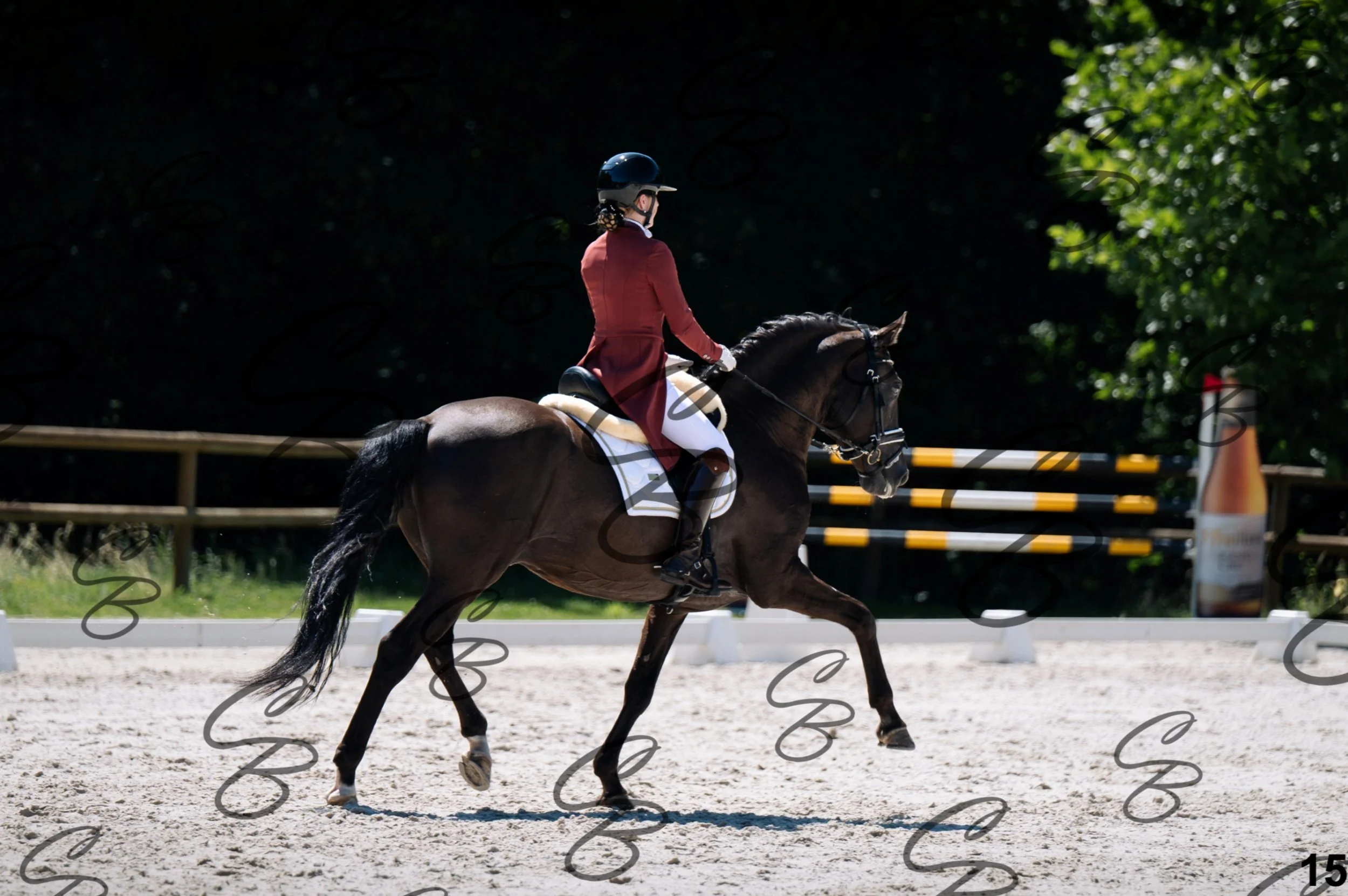 2026.07.11 - 13 Reyale - Niveau 6 - REYALE-15.jpg