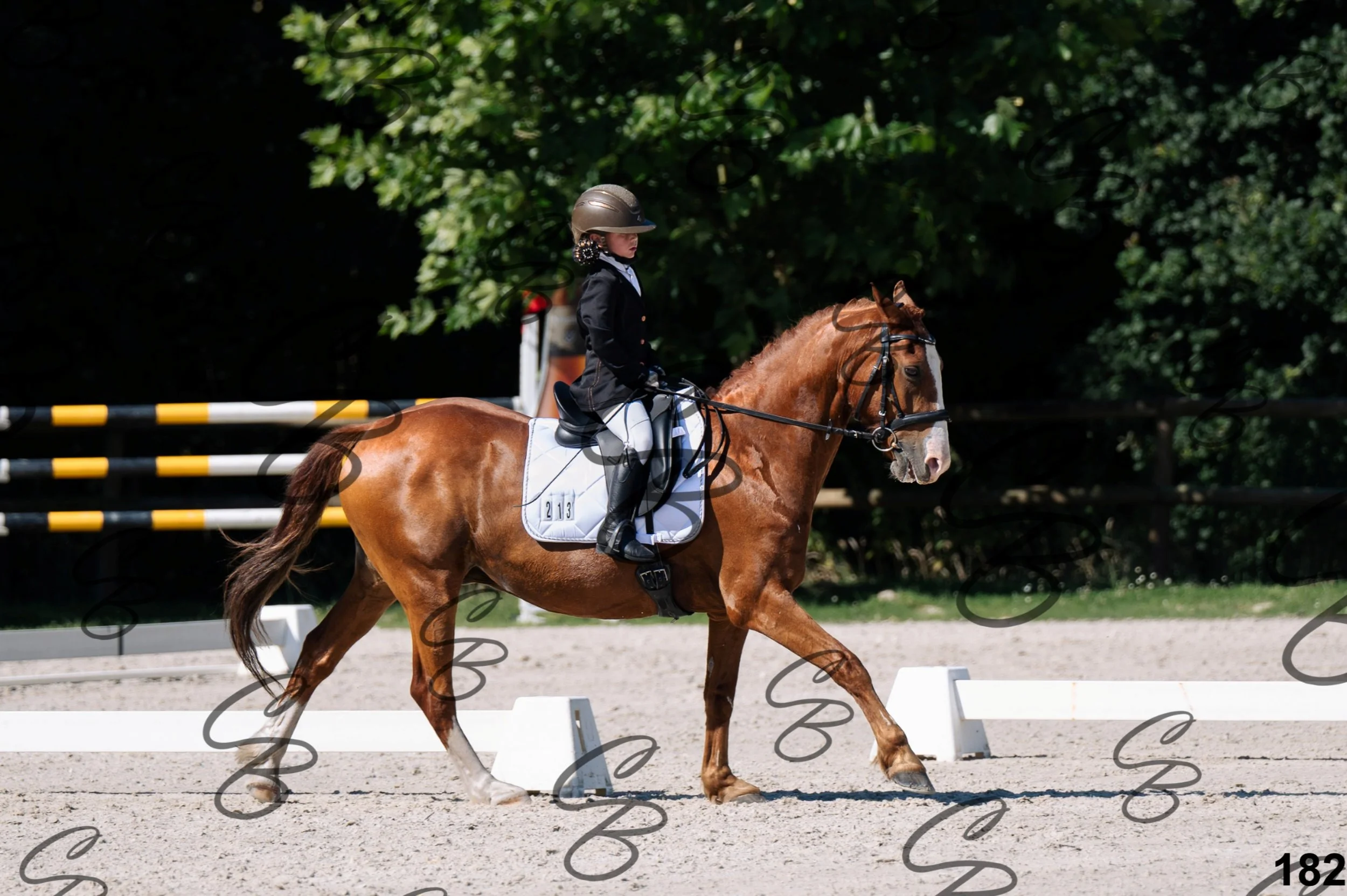 2026.07.12 - 106 Niveau Initiation Poneys - Ini.6-8.jpg
