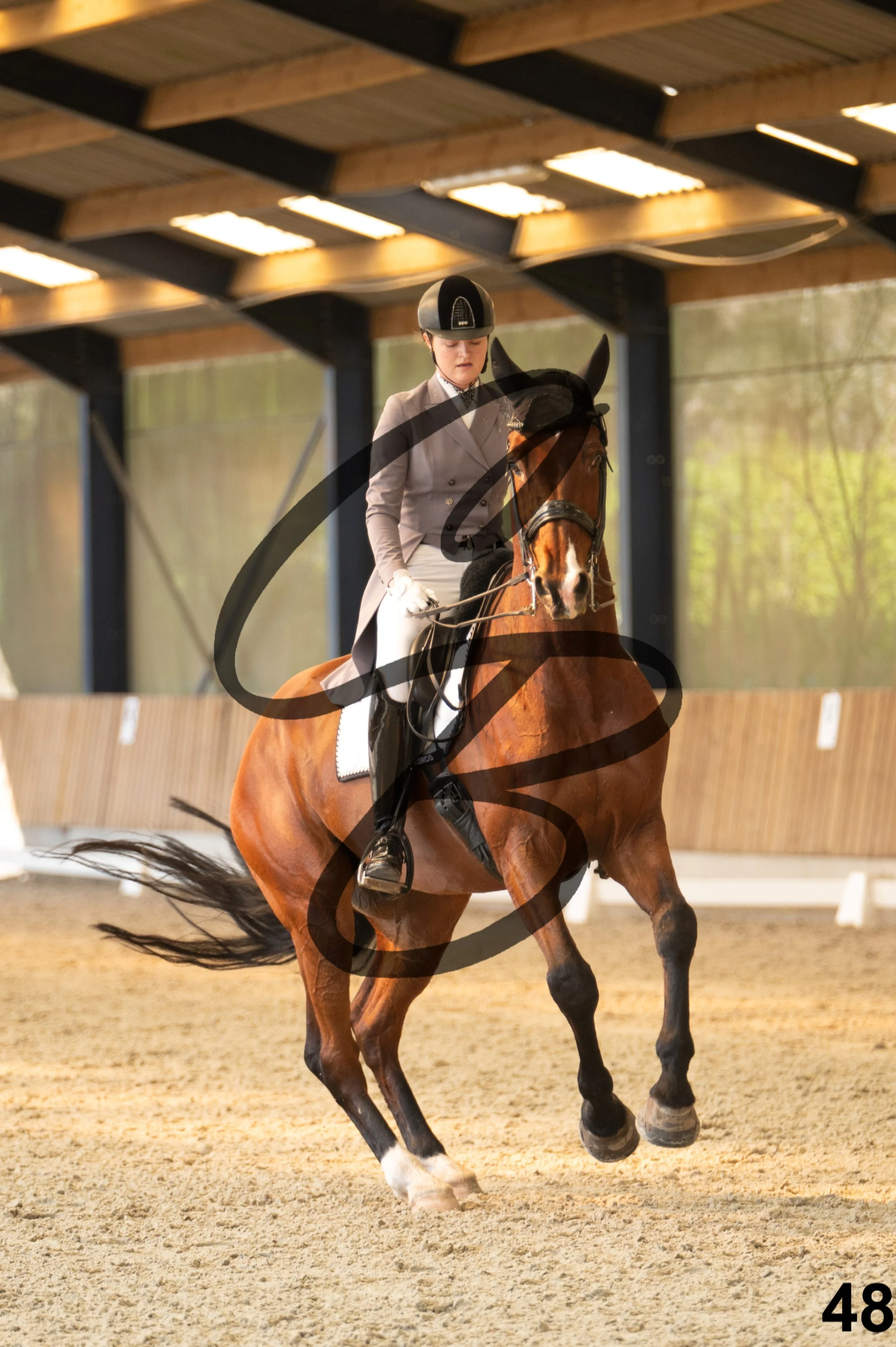 2026.03.22 - Niv5 - Young rider team-48.jpg