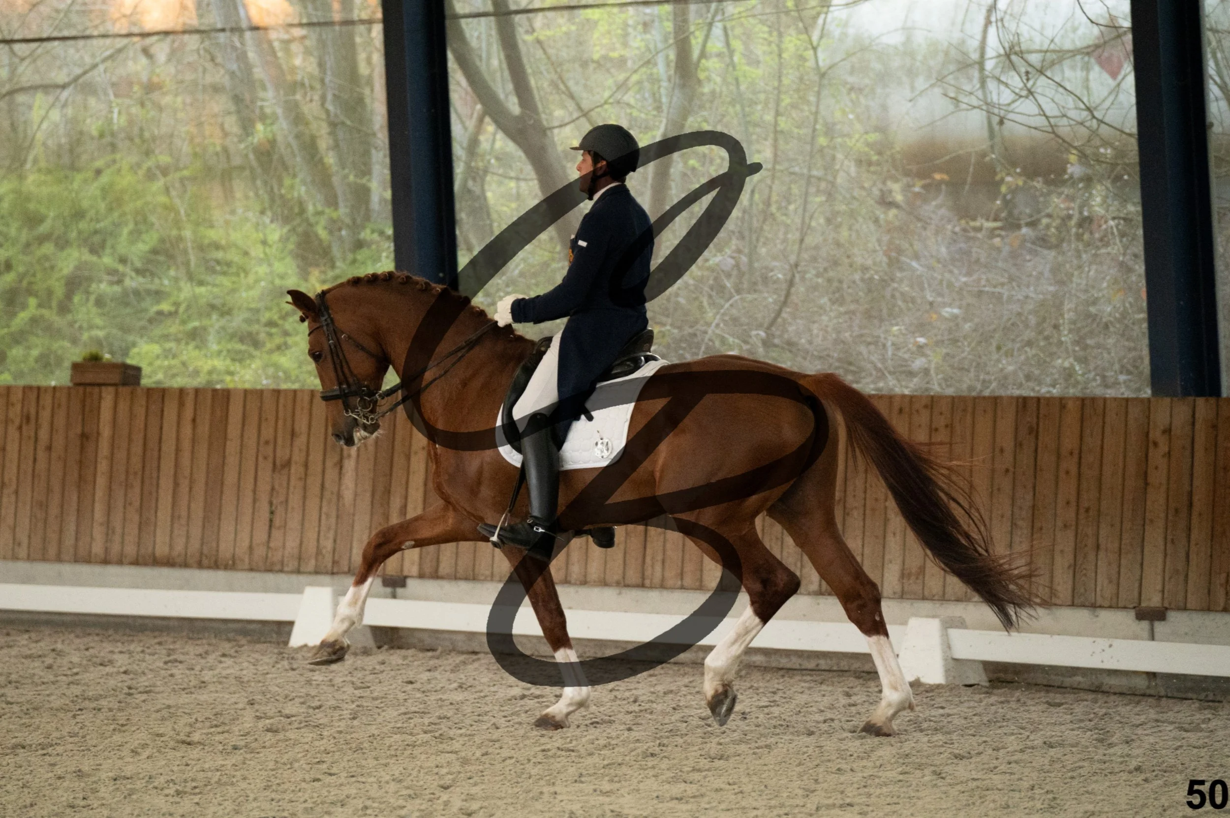 2026.03.22 - niv5 - saint georges-50.jpg