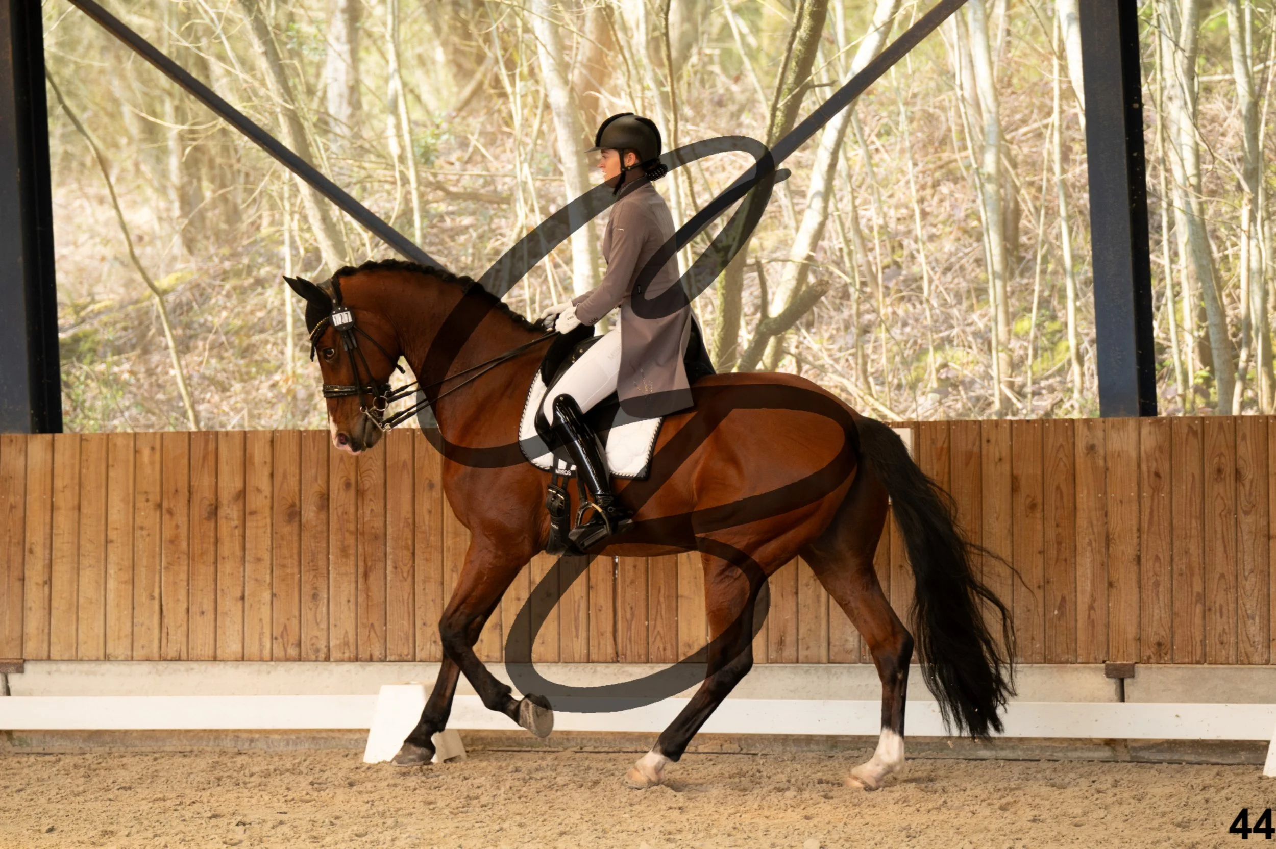 2026.03.22 - Niv5 - Young rider team-44.jpg