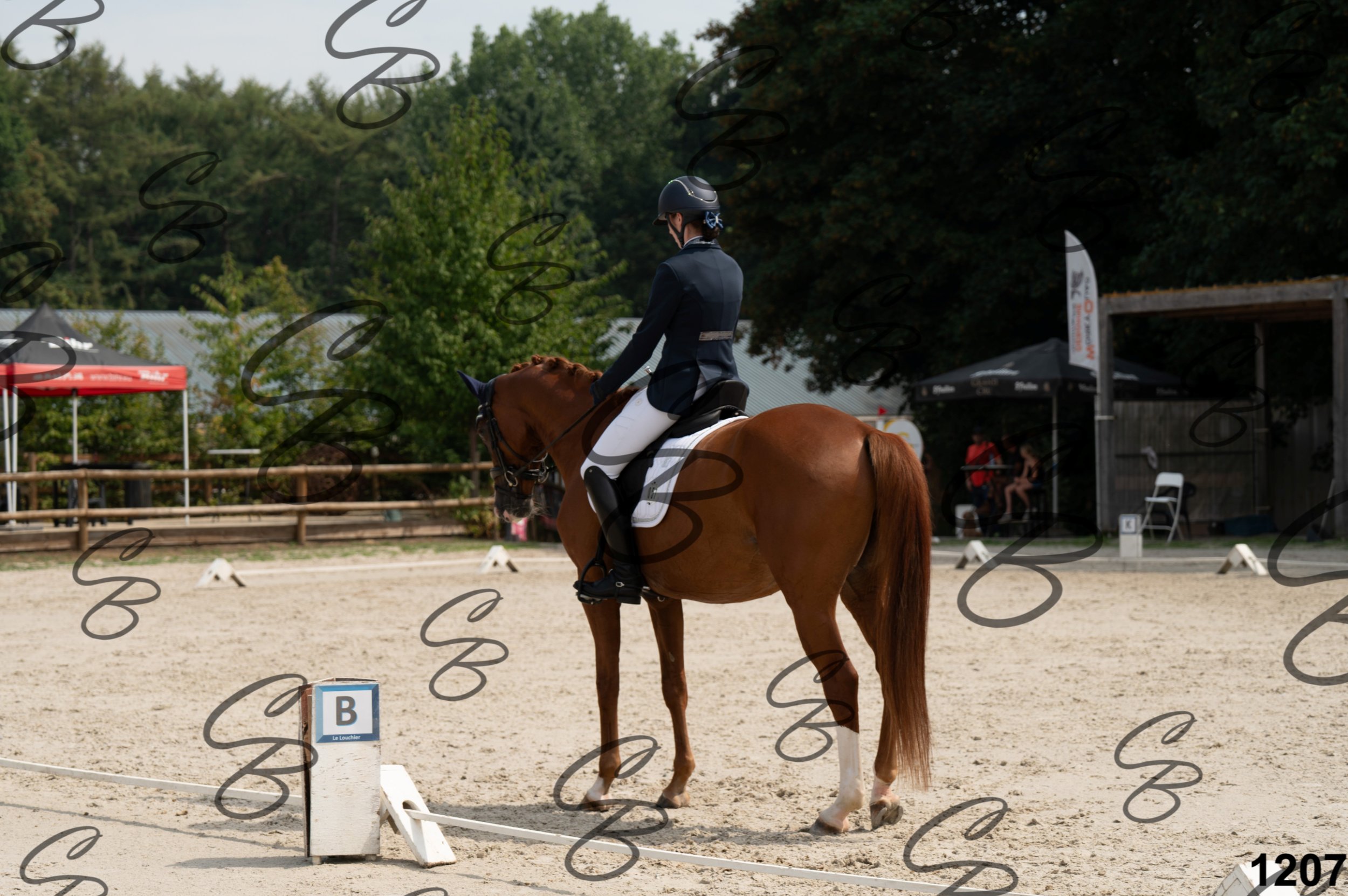 2026.08.15 - Louchier - GHO-1576.jpg