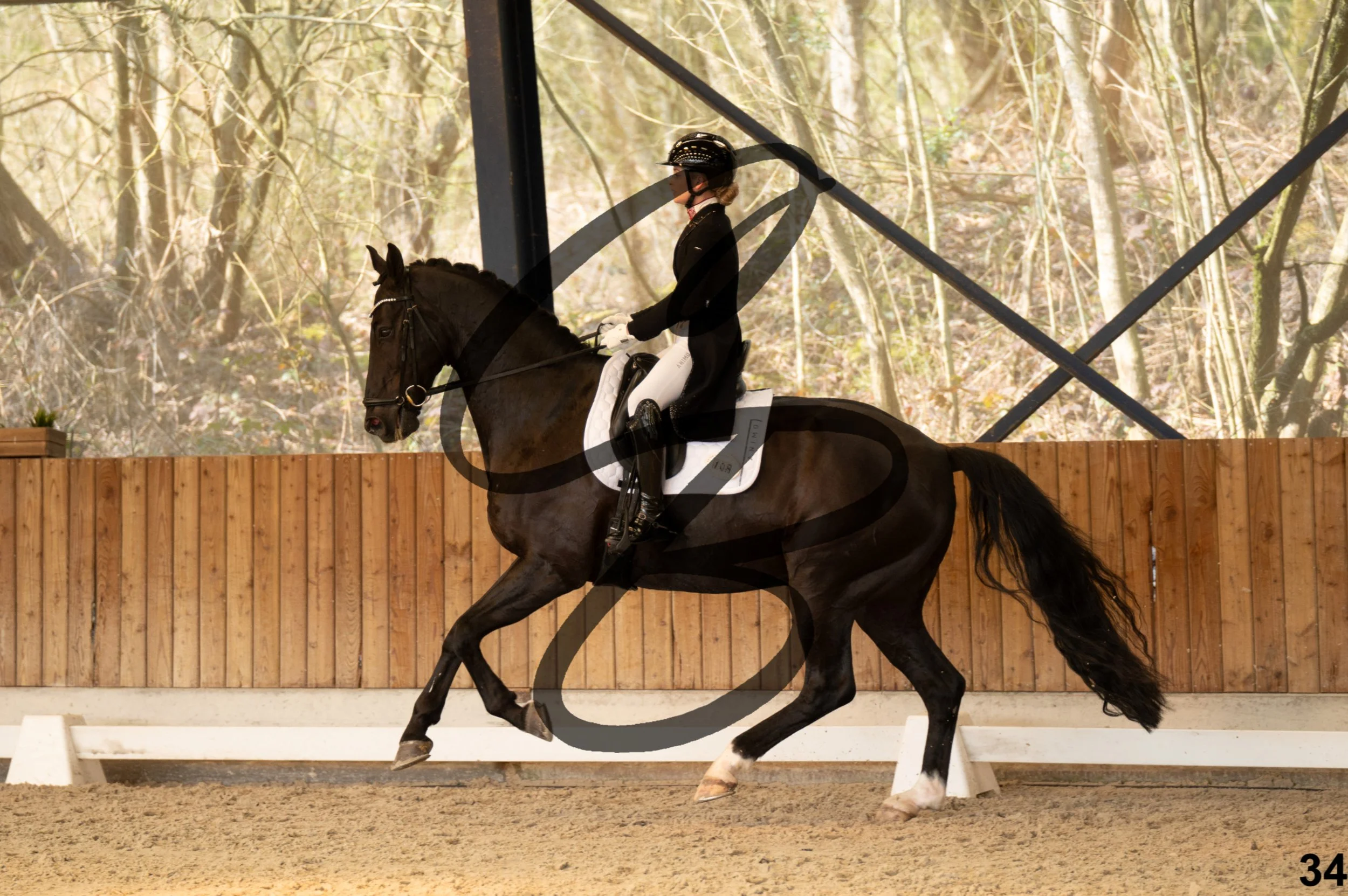 2026.03.22 - Niv5 - Young rider team-34.jpg