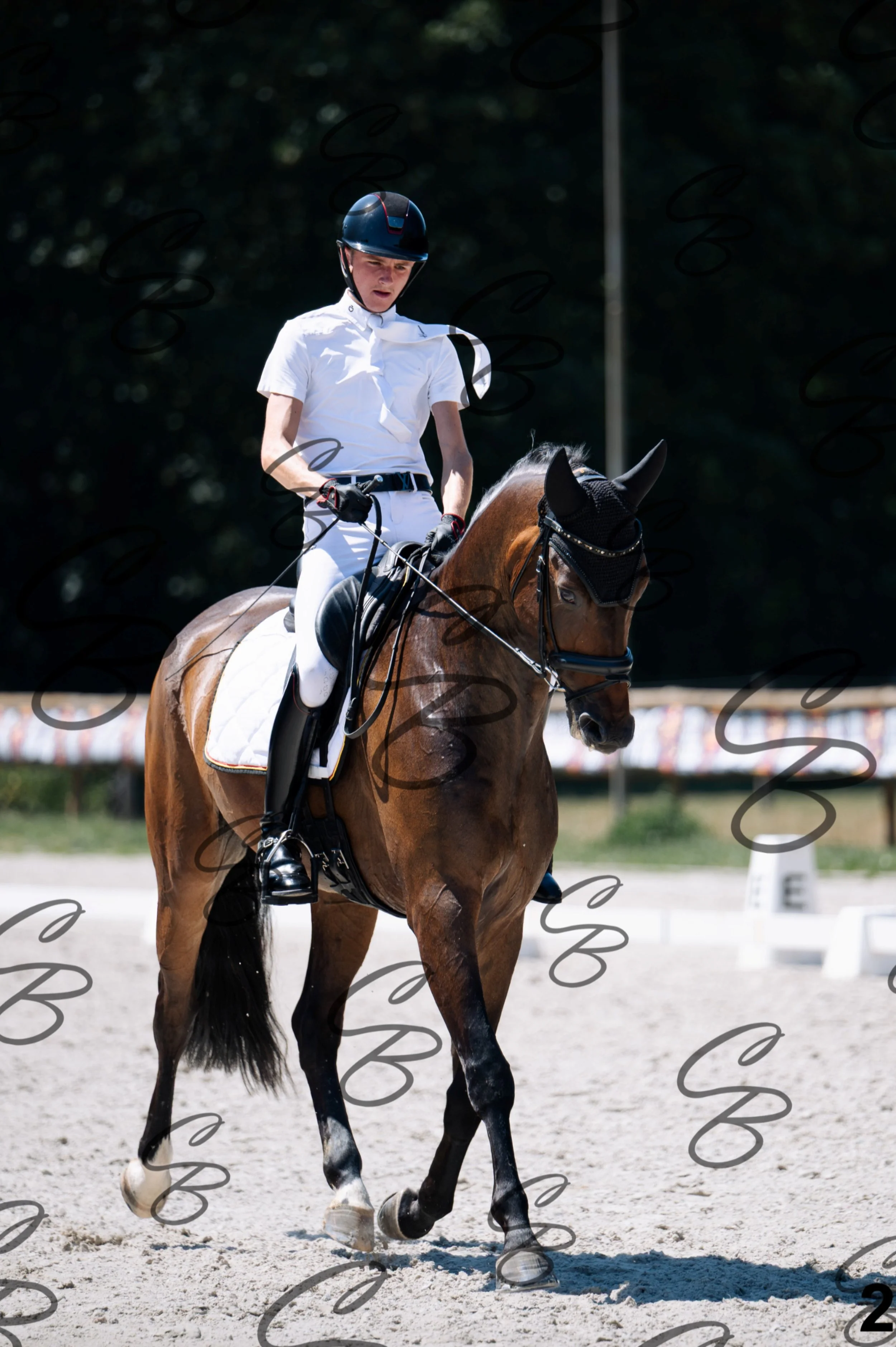 2026.07.12 - Jeunes chevaux - FEI 6YH Preliminary Test-2.jpg