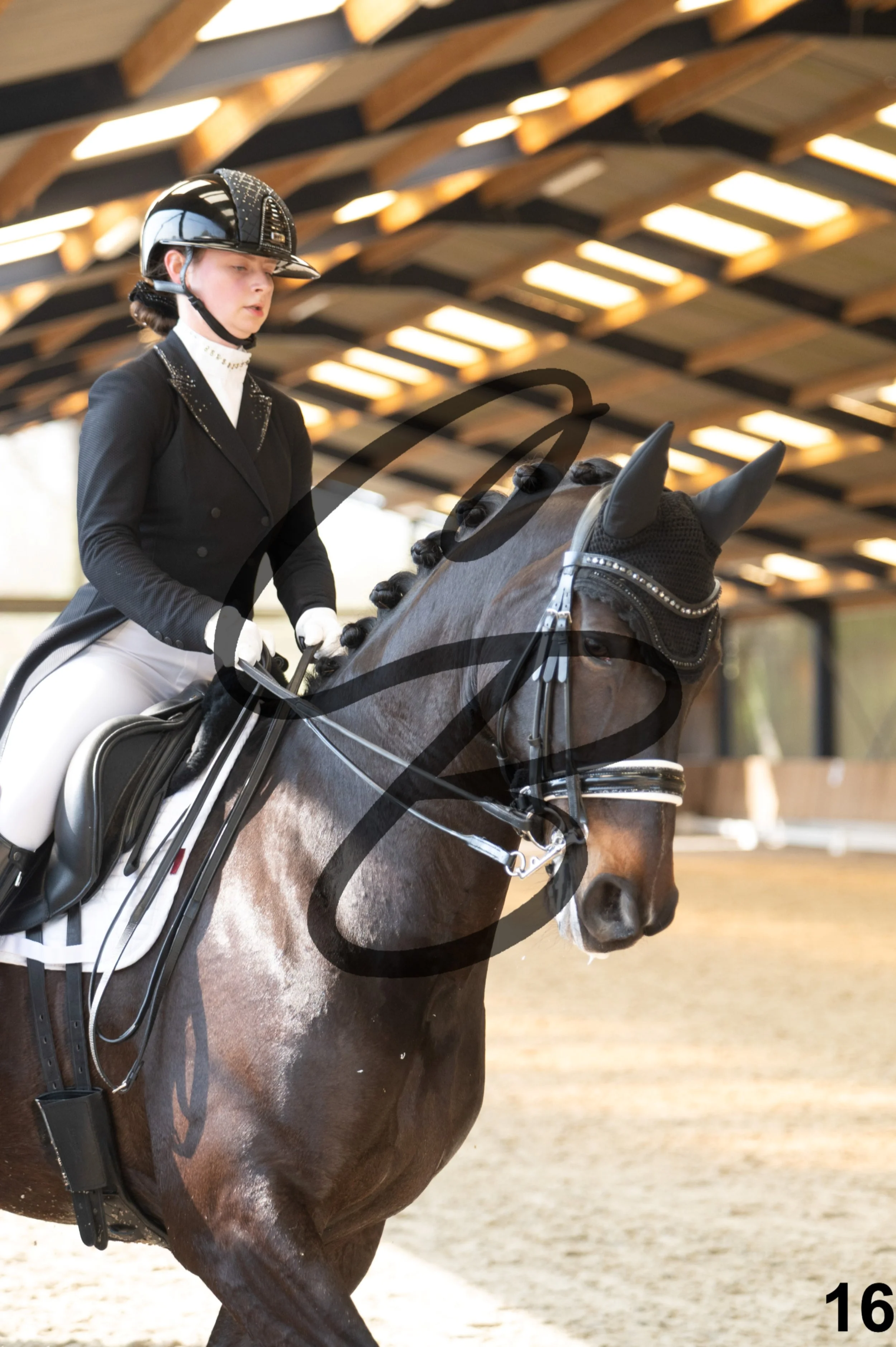 2026.03.22 - Niv5 - Young rider team-16.jpg